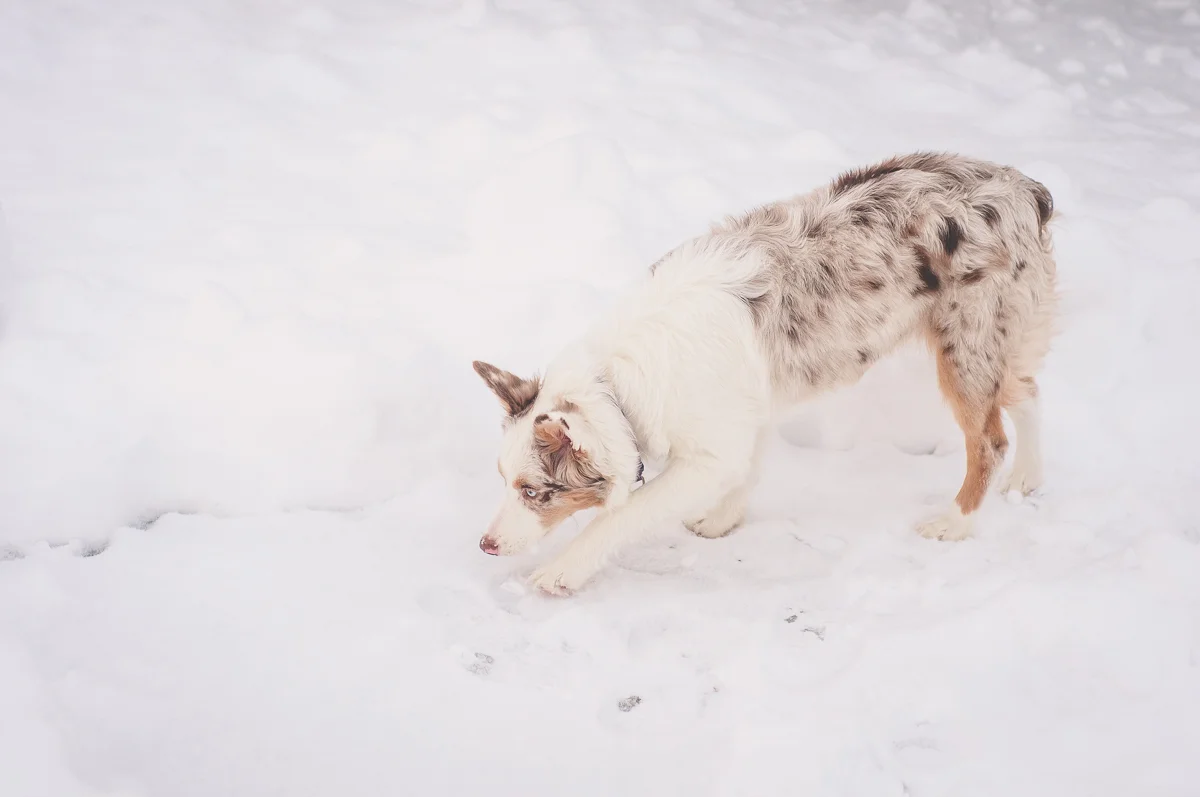 _DSC7383.jpg