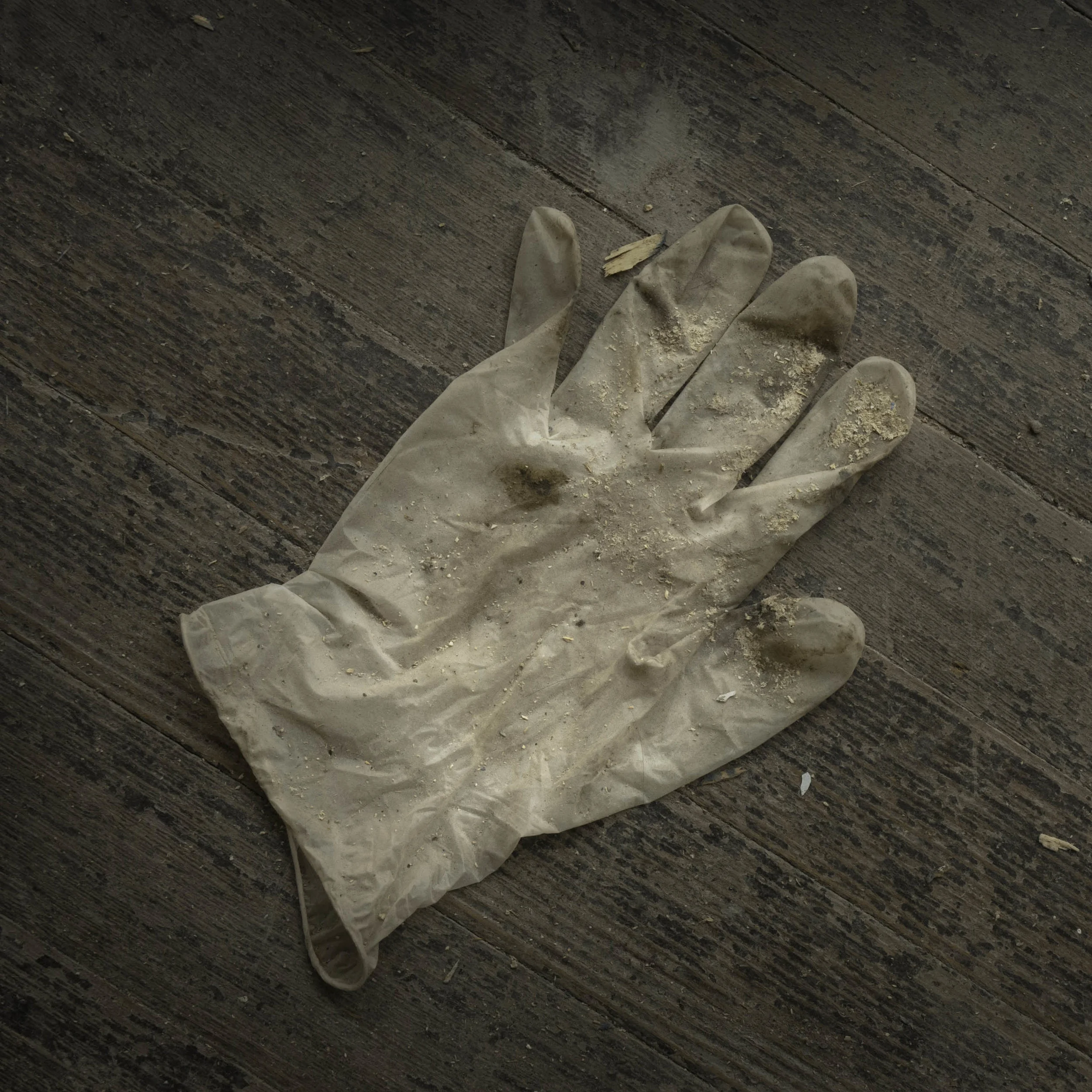 20120131-_DSC0190-Edit-Edit.jpg
