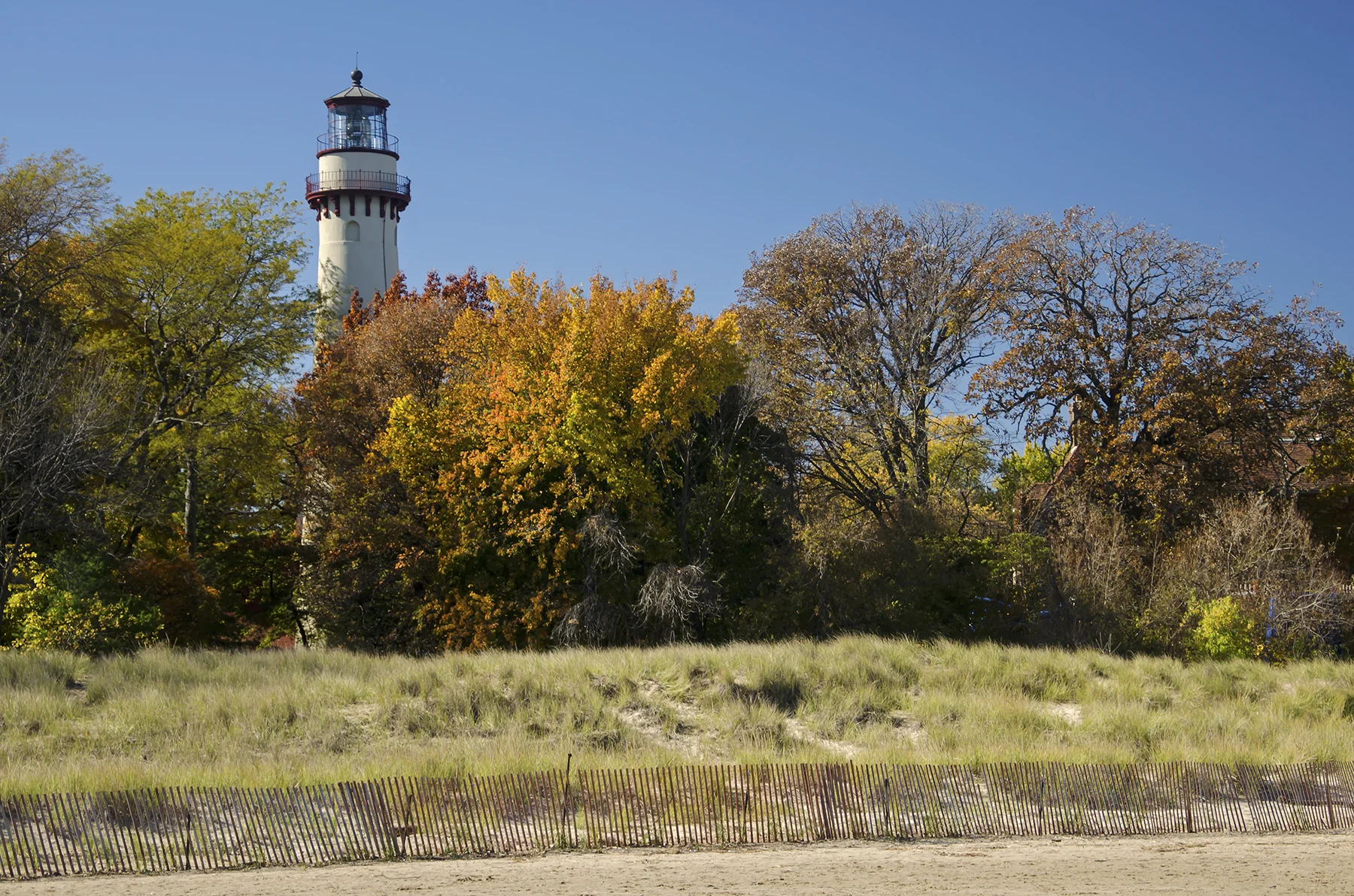 Fall color near the Grosse Point Lighthouse. Image by Tom Gill .