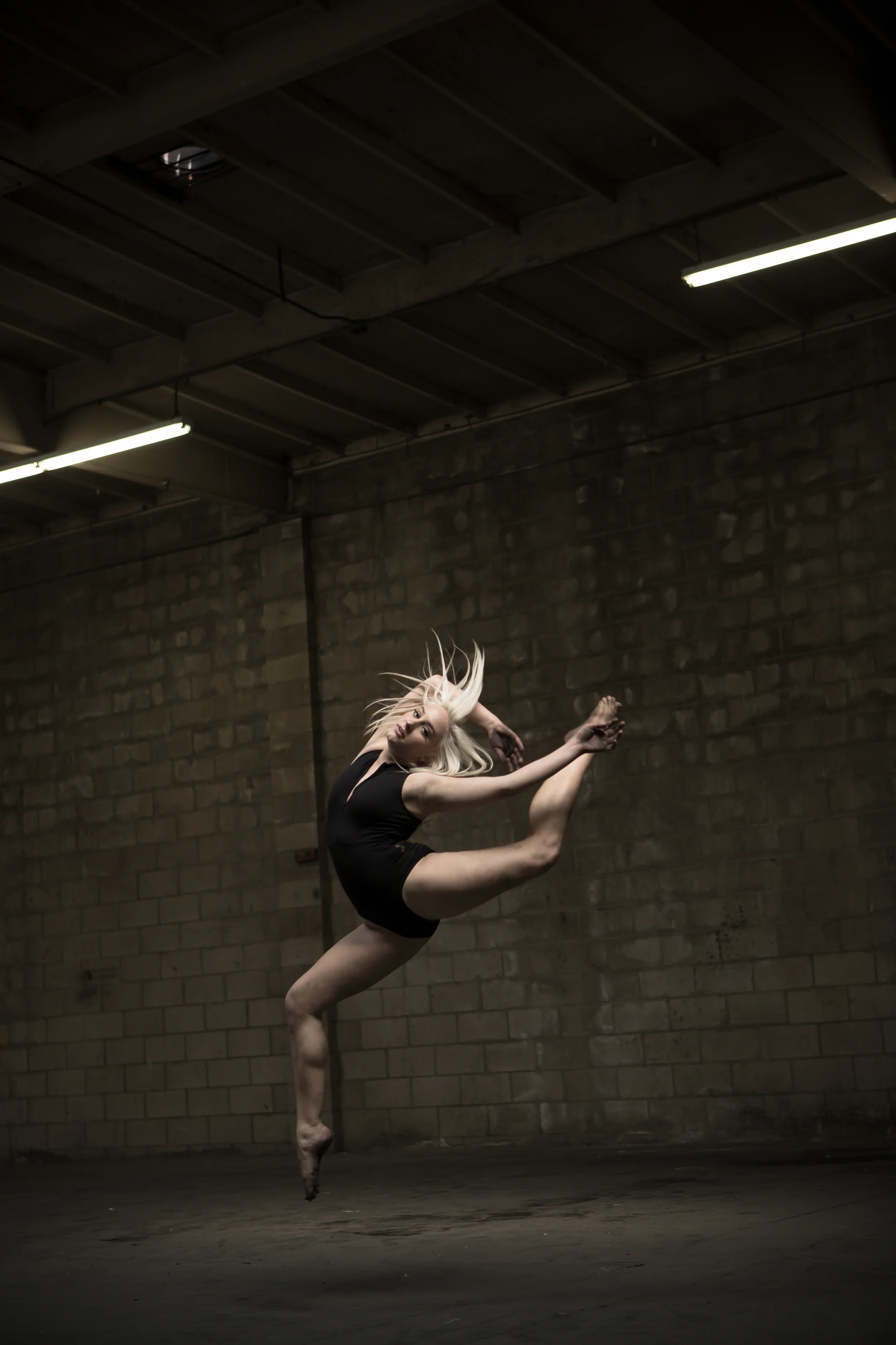 dance_web-10.jpg