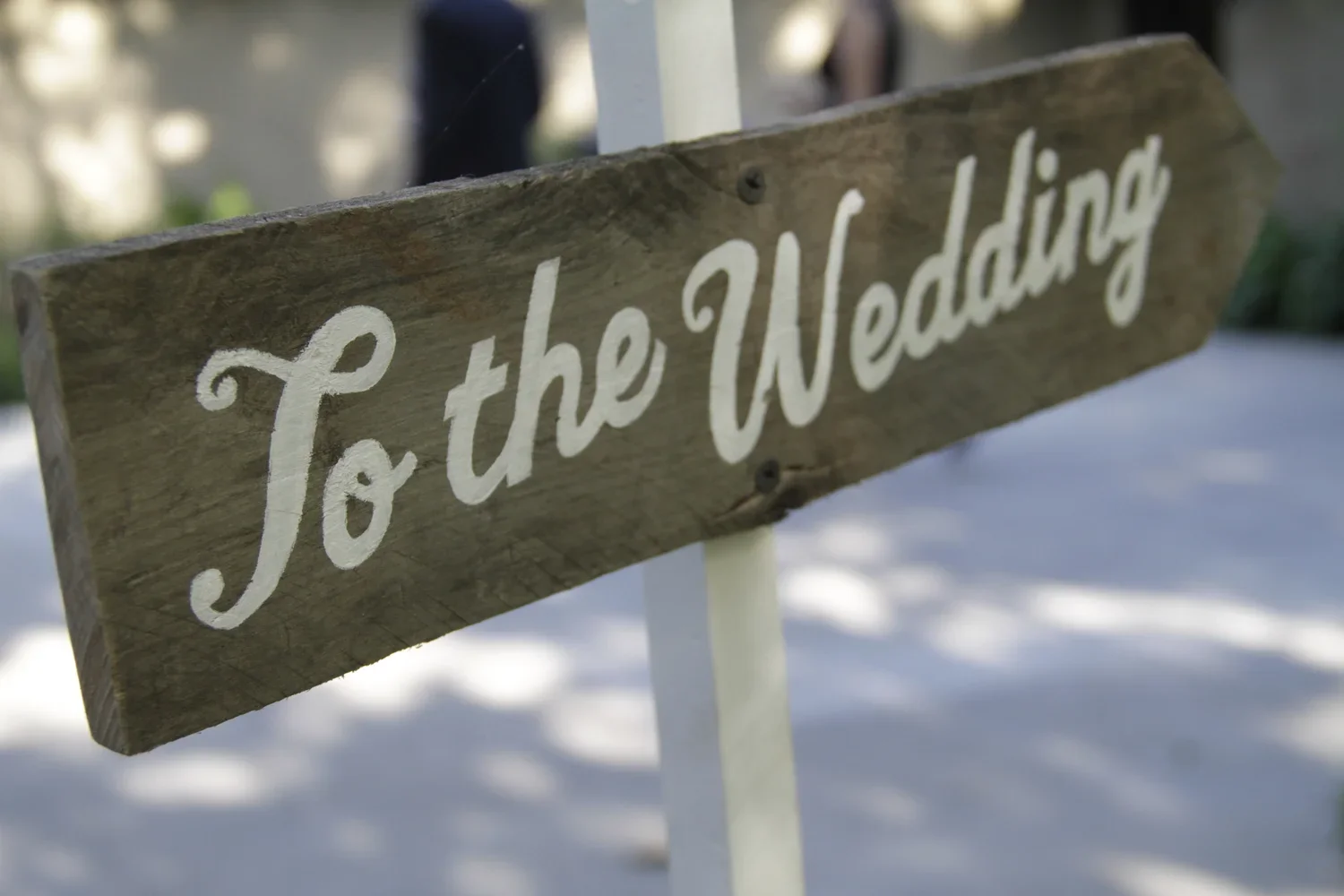 greene_wed_405.webp