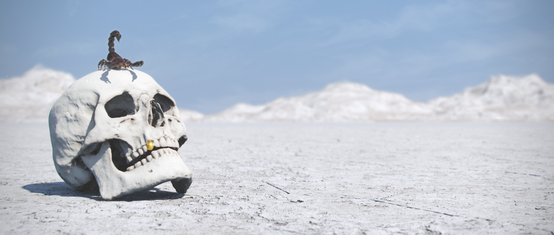 welcome_to_the_desert.png