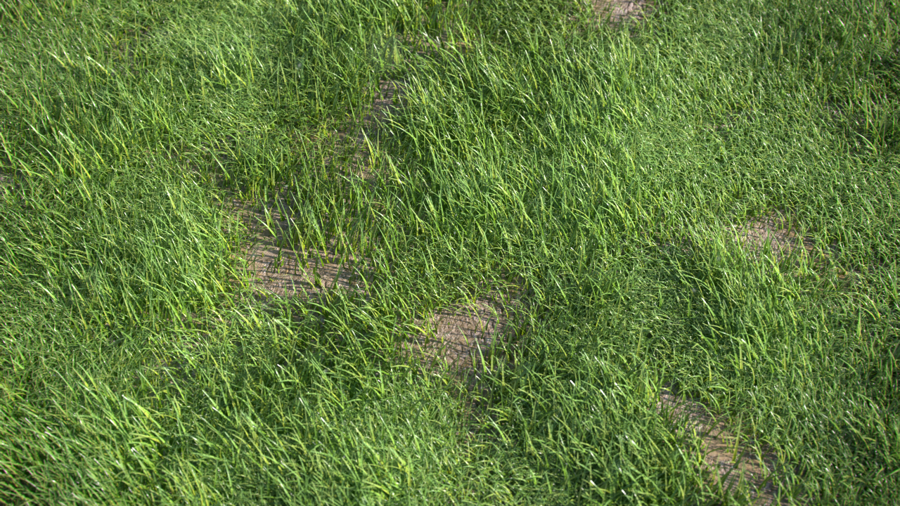Grass_Gen_Title_NK.png