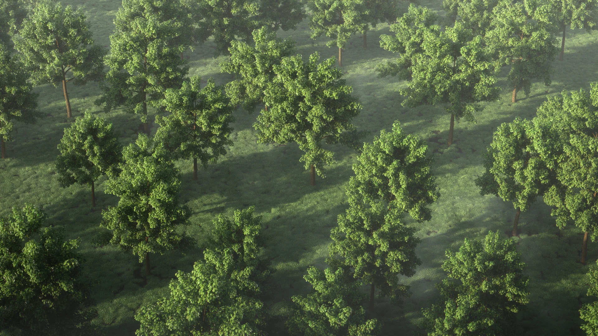 Free_Trees_RENDER.jpg