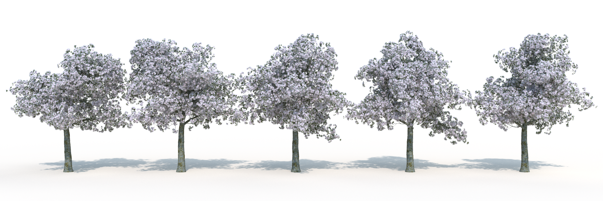 Here's a front view of all five trees, rendered with the included textures.