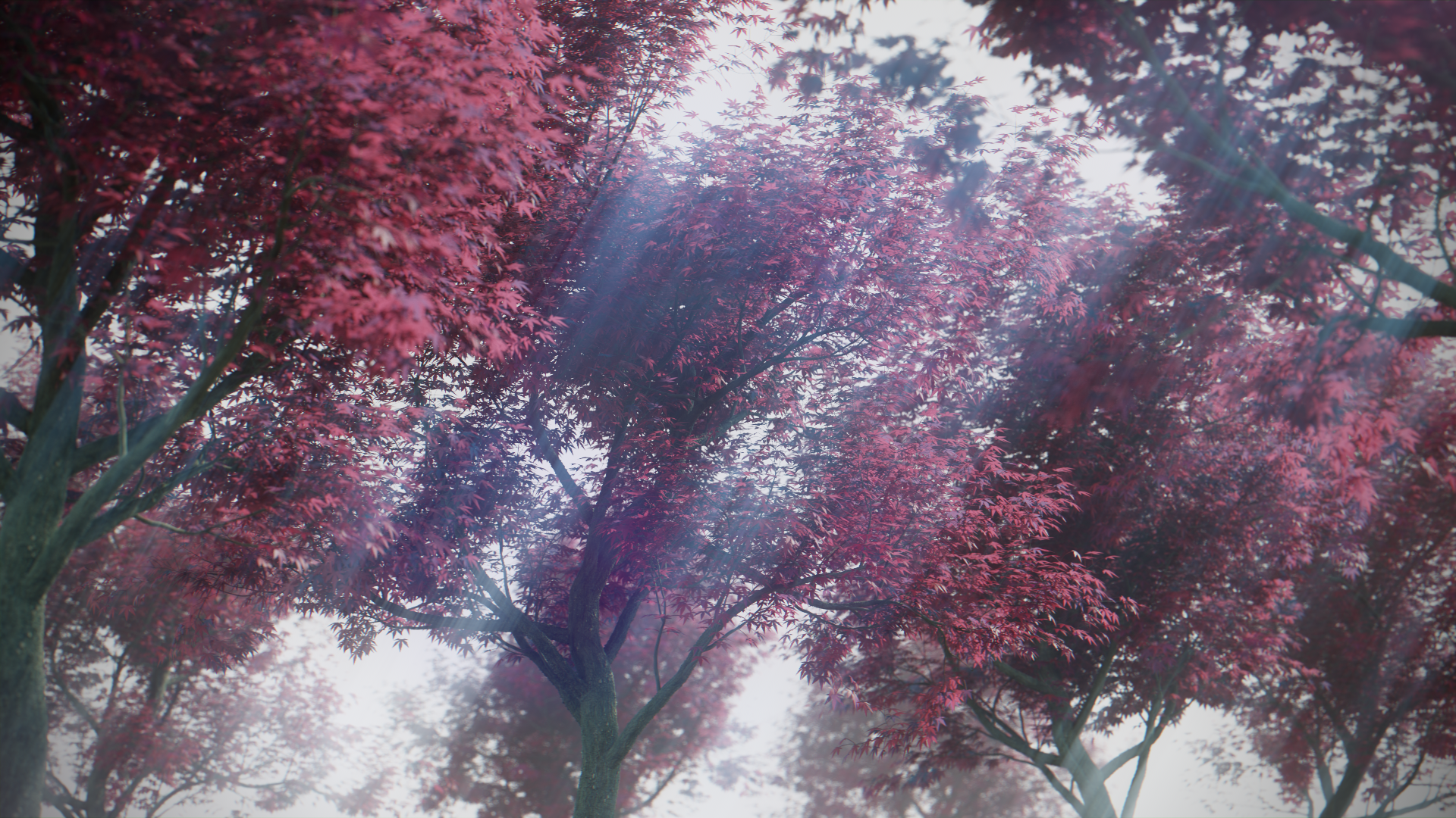 japanese_maple_render.png