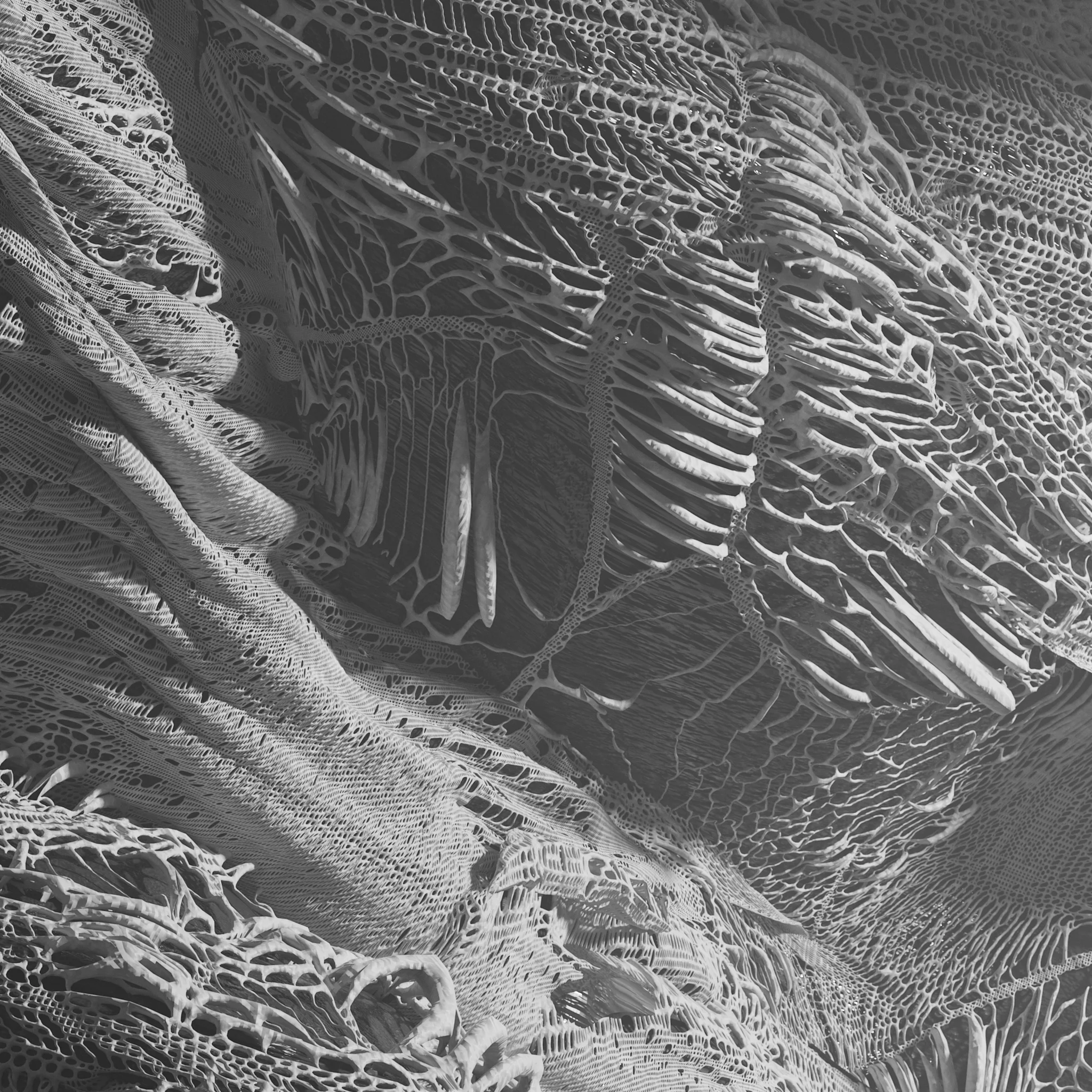 S.O.M_003_2KSM_Crop.jpg