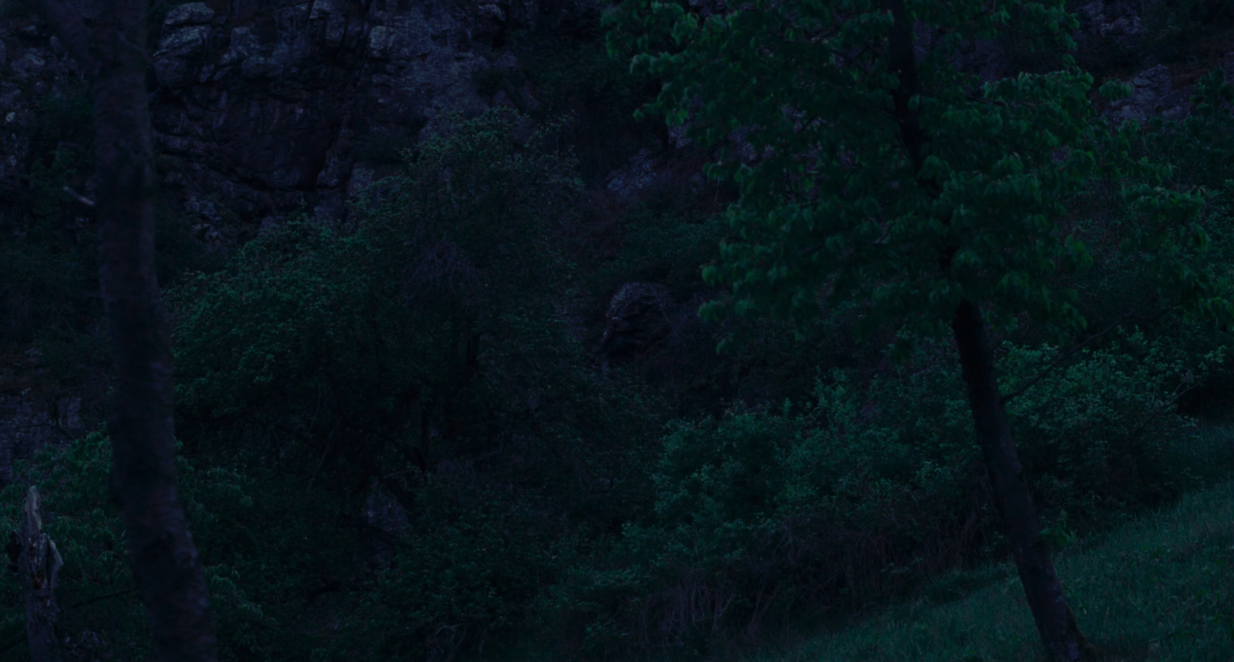 Screen Shot 2024-07-07 at 3.54.34 PM.png