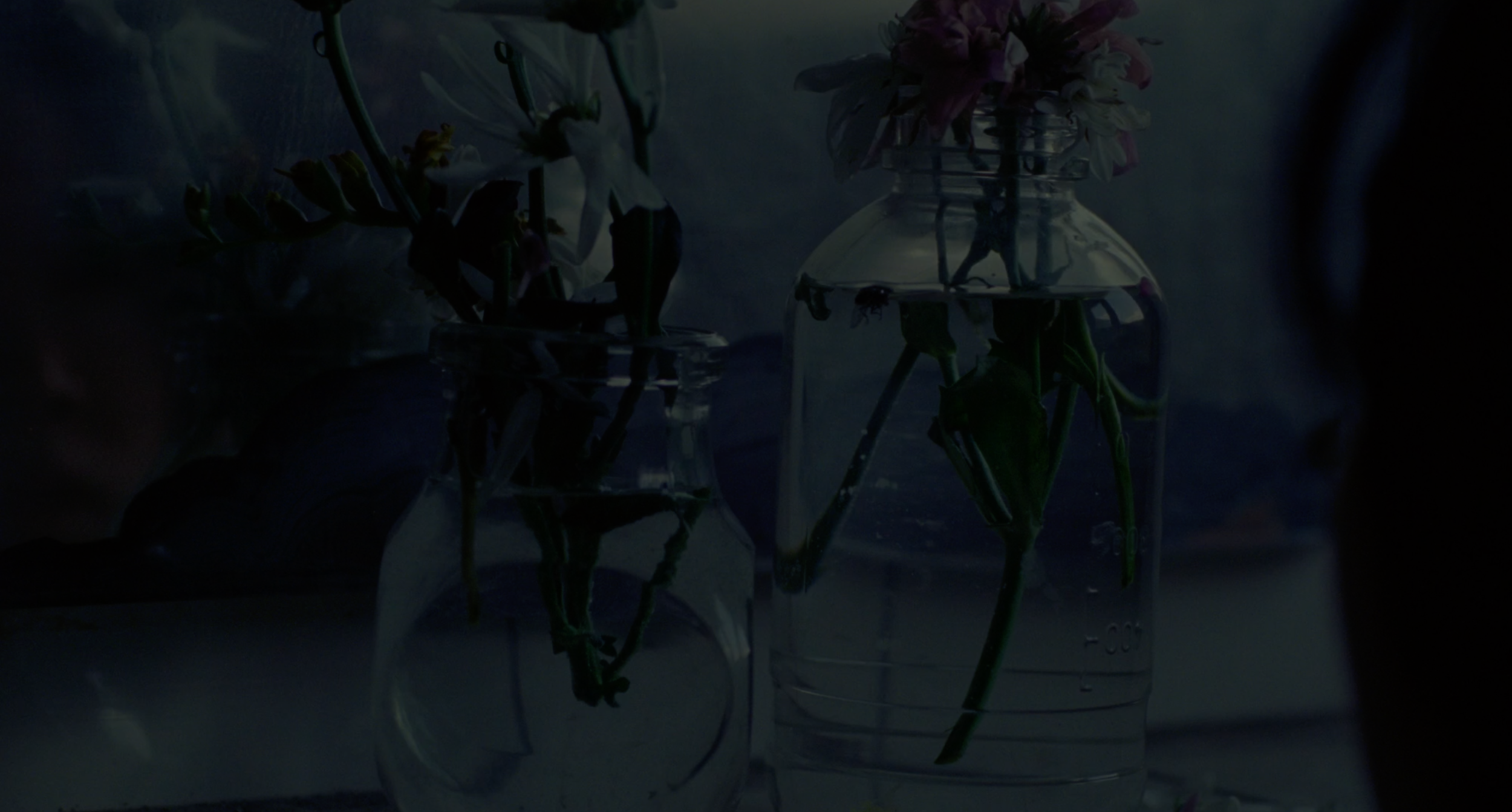 Screen Shot 2024-07-07 at 3.50.10 PM.png