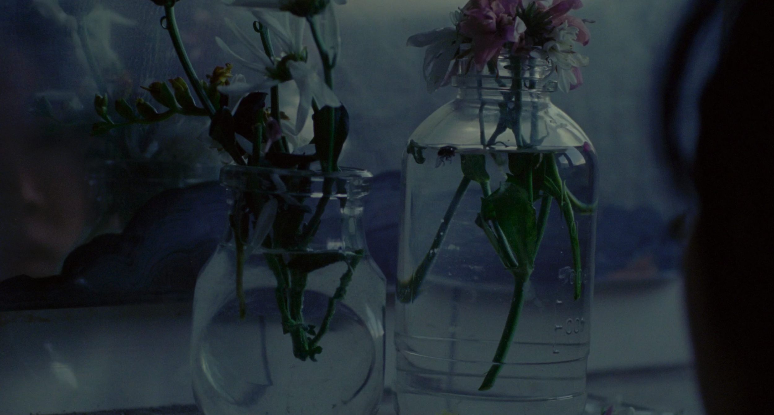 Screen Shot 2024-07-07 at 3.50.10 PM.png