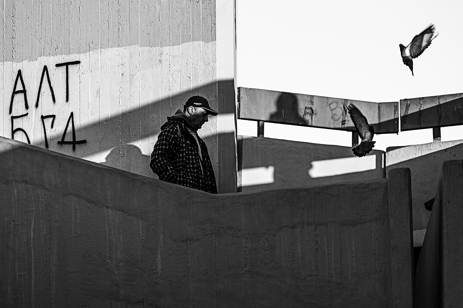 Oslikavanje trenutka