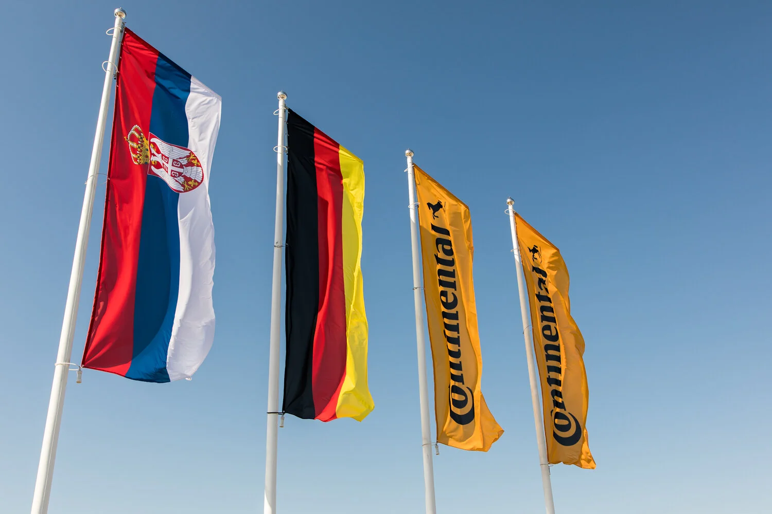 Continental Internet size-38.JPG