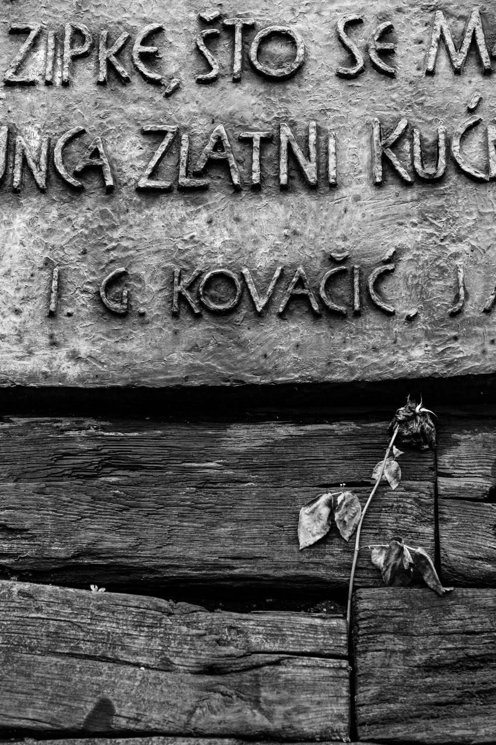 Jasenovac net-17.jpg