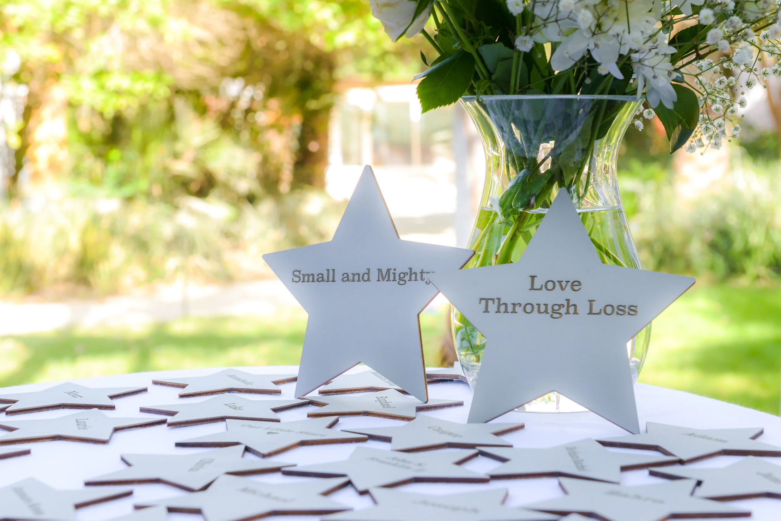 Small and Mighty High Res Colour - 2.jpg