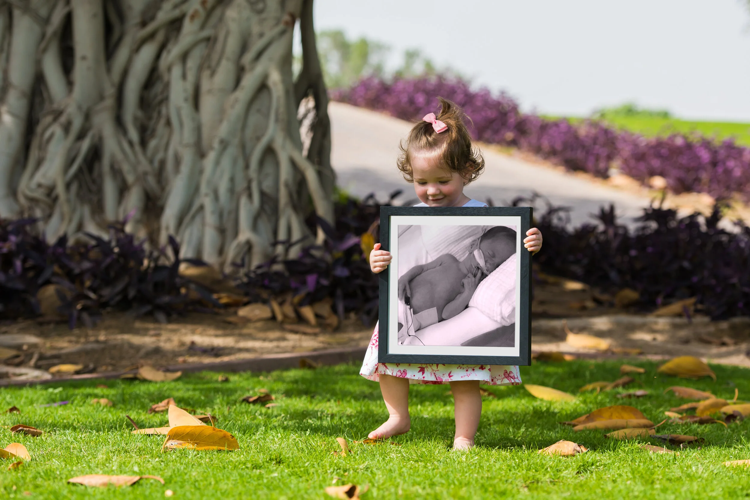 Lilly Knox.jpg