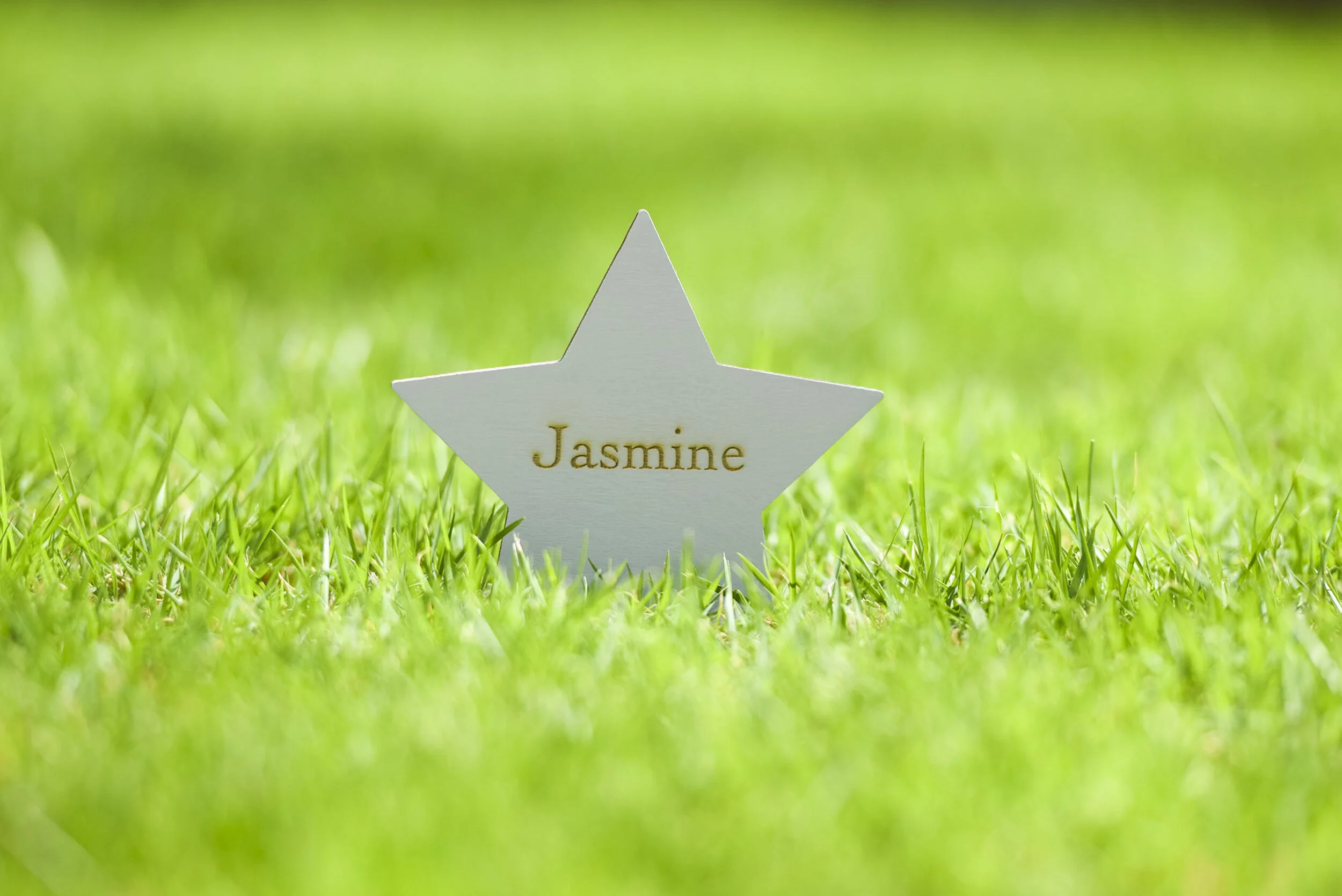 Little Stars - Med Res-18.jpg