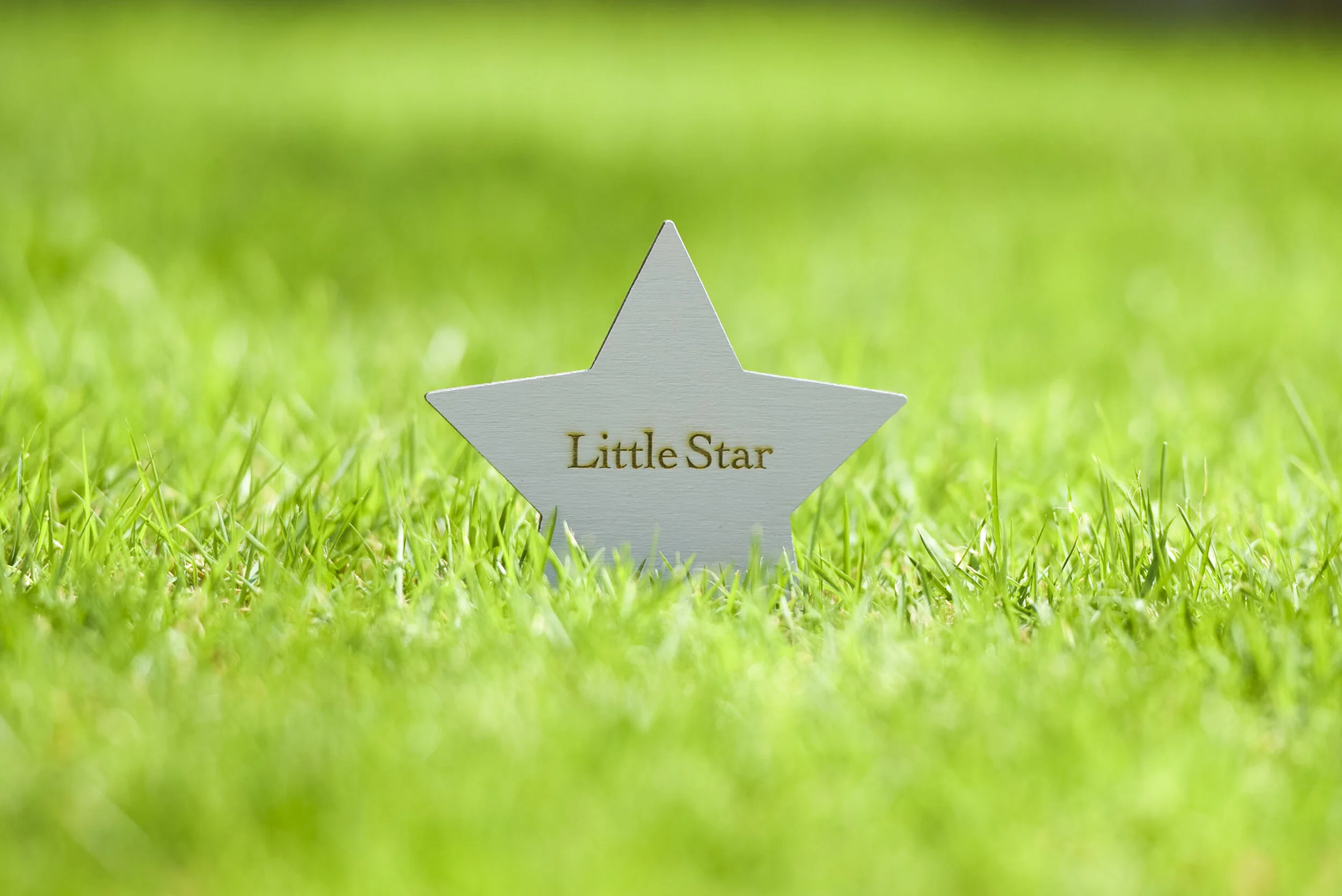Little Stars - Med Res-15.jpg