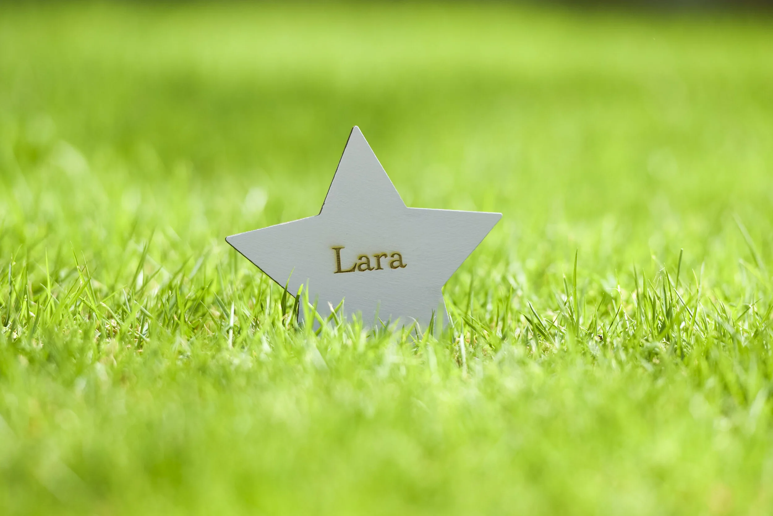 Little Stars - Med Res-12.jpg
