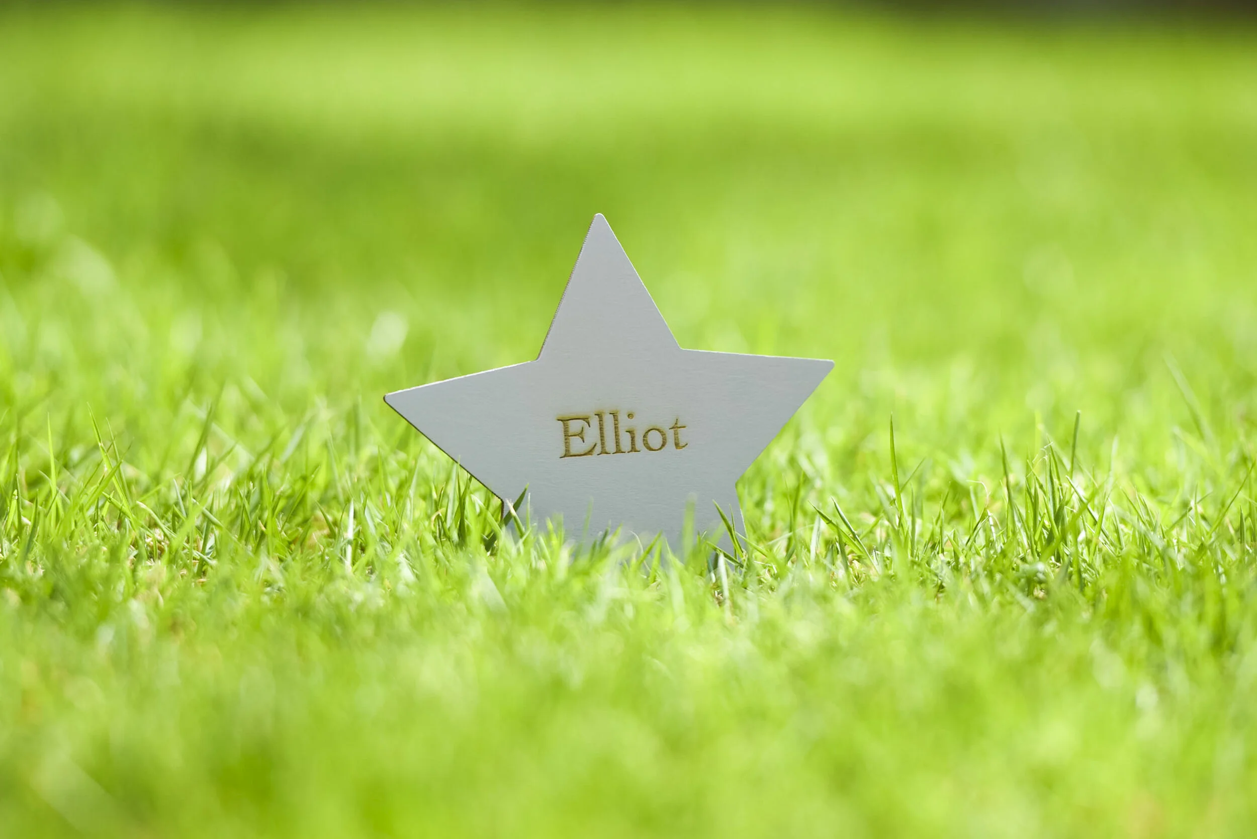 Little Stars - Med Res-9.jpg