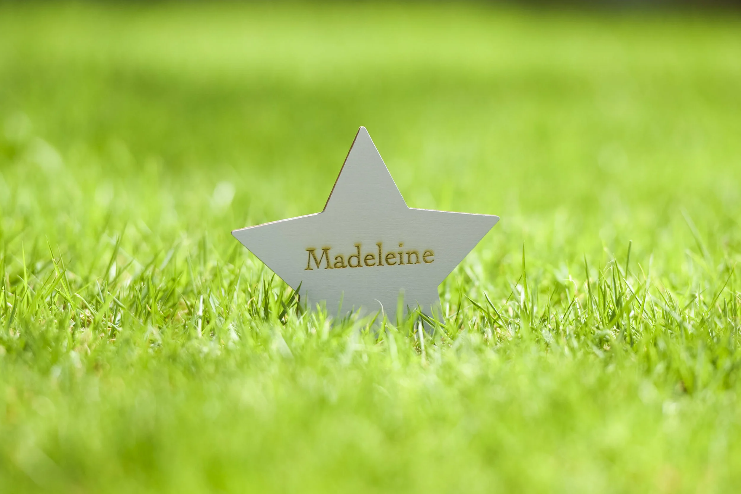 Little Stars - Med Res-10.jpg