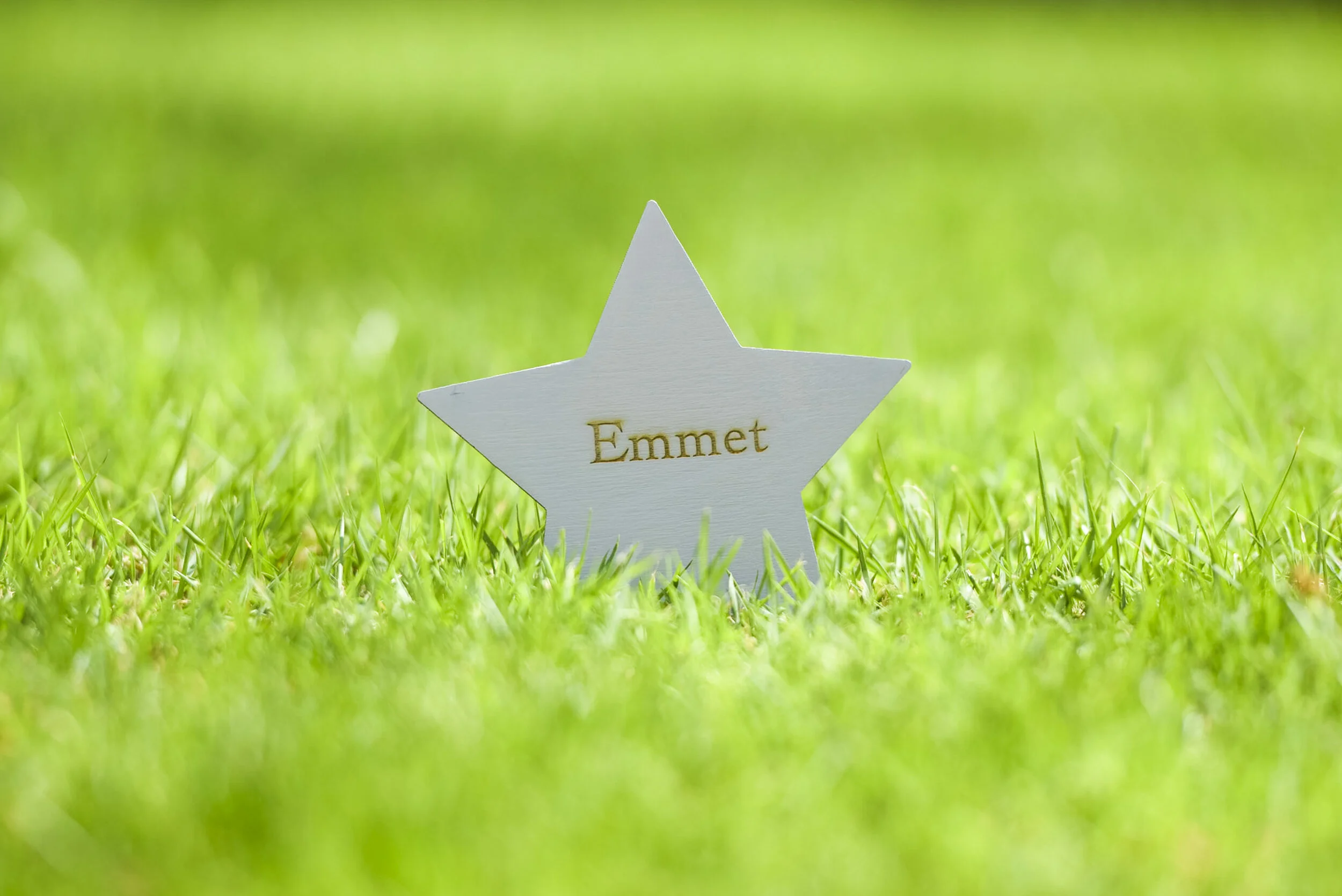 Little Stars - Med Res-7.jpg
