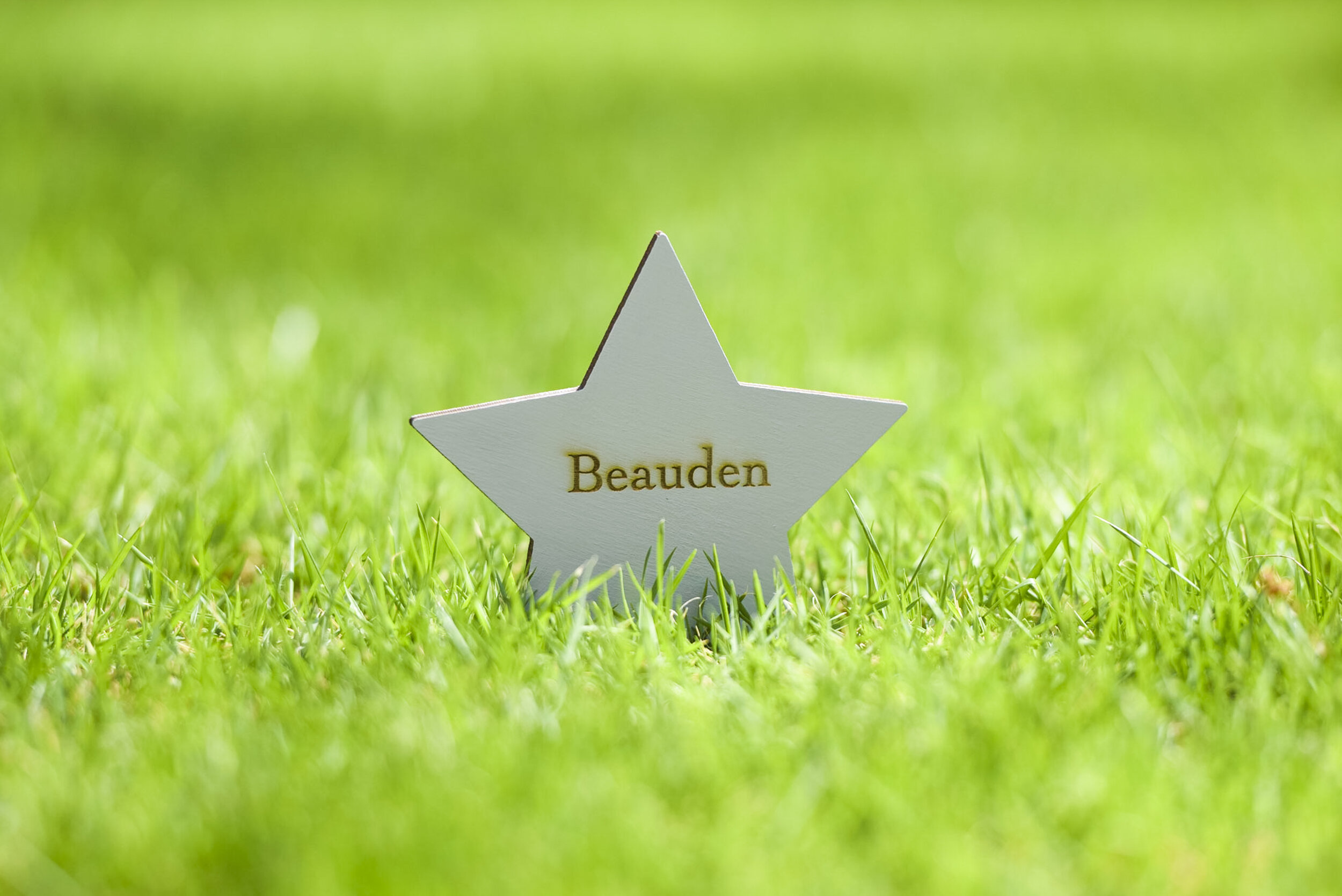 Little Stars - Med Res-4.jpg