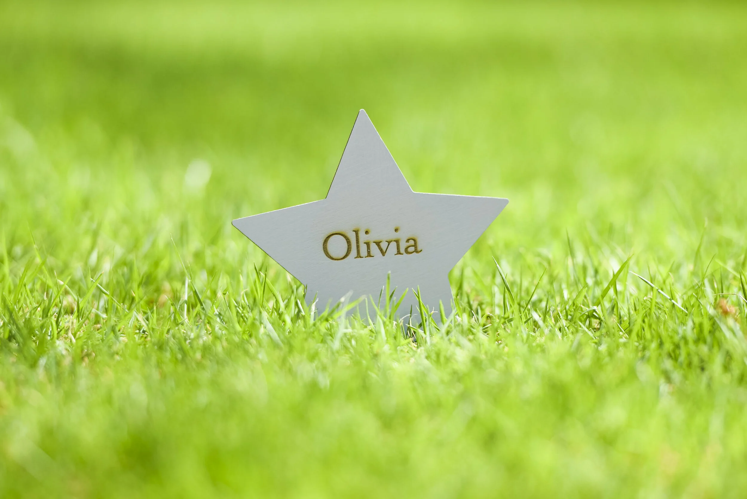 Little Stars - Med Res-5.jpg