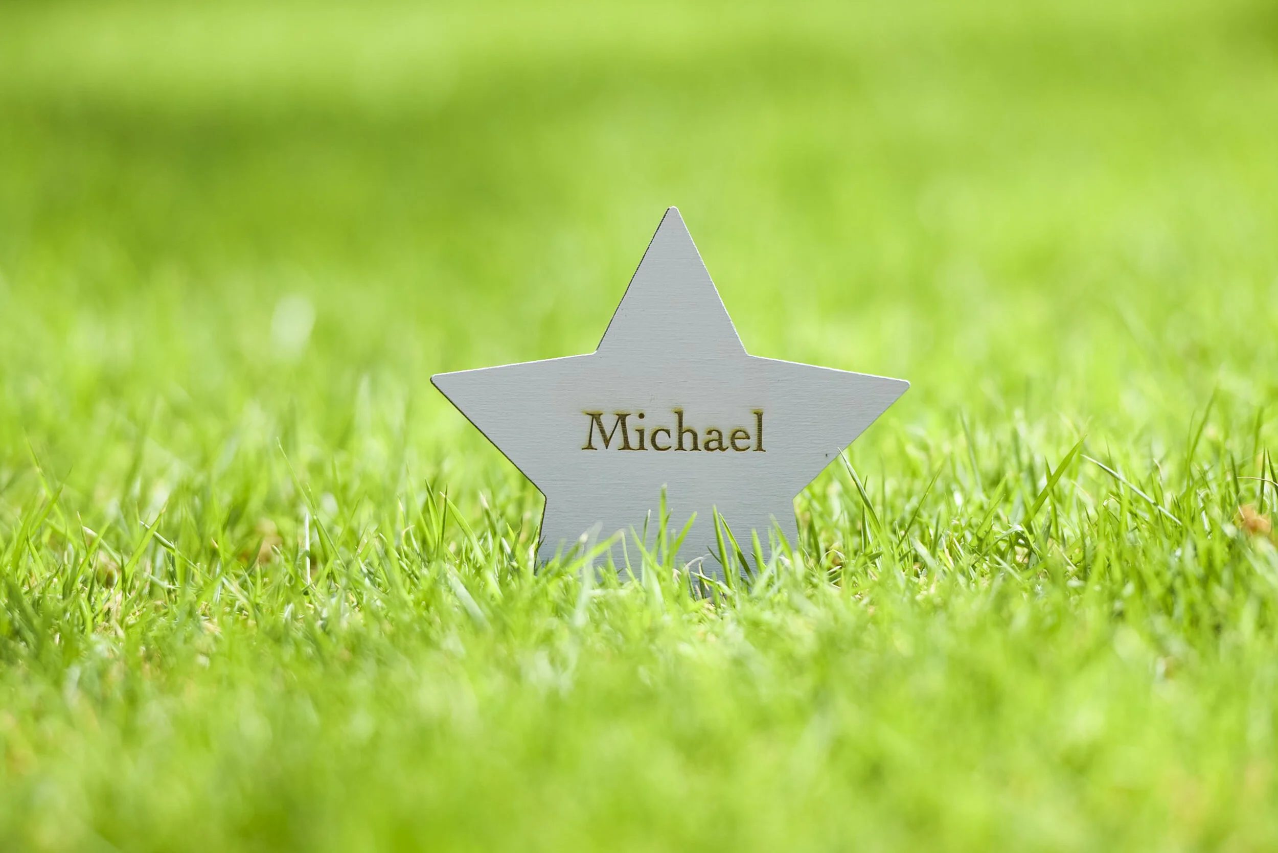 Little Stars - Med Res-3.jpg