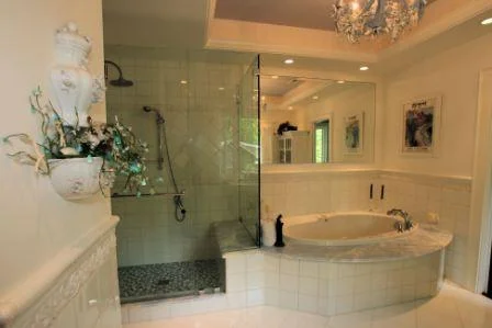 Master bath tub and shower