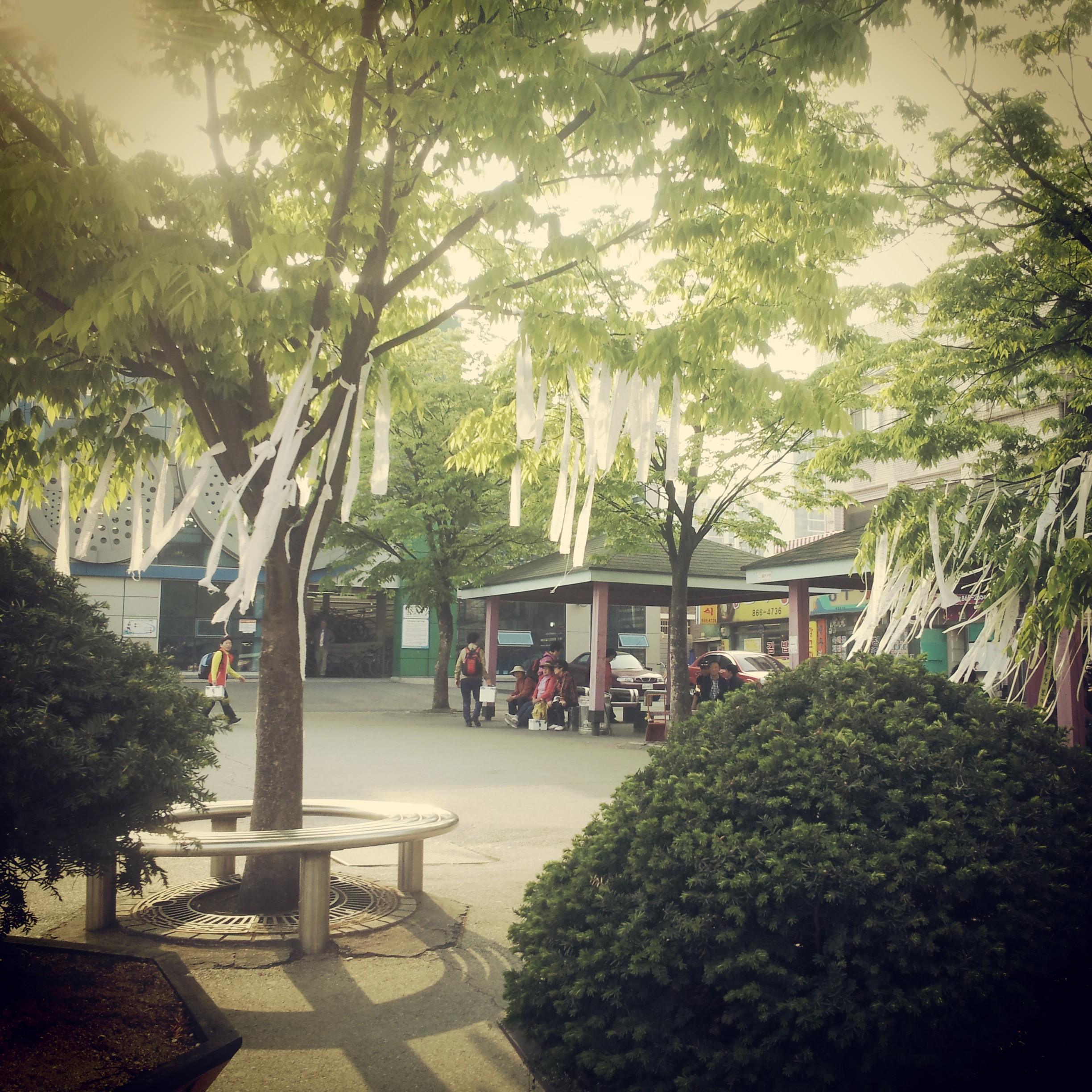 The white ribbons are in memory of those lost in the Sewol Ferry disaster, 16 April 2014
