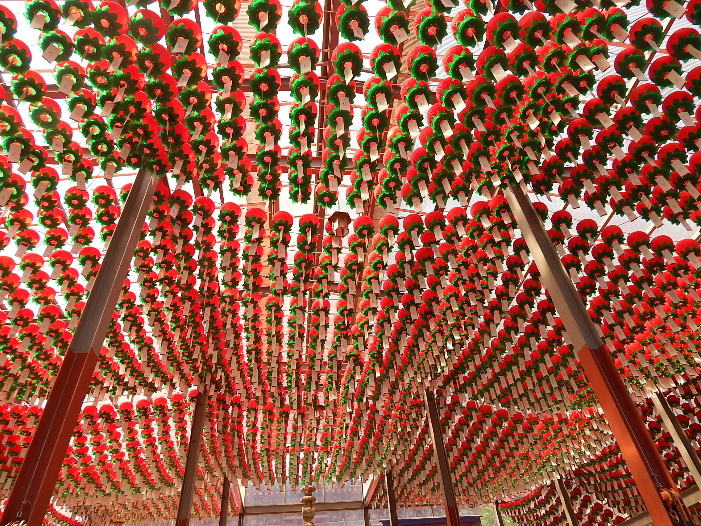 Canopy!