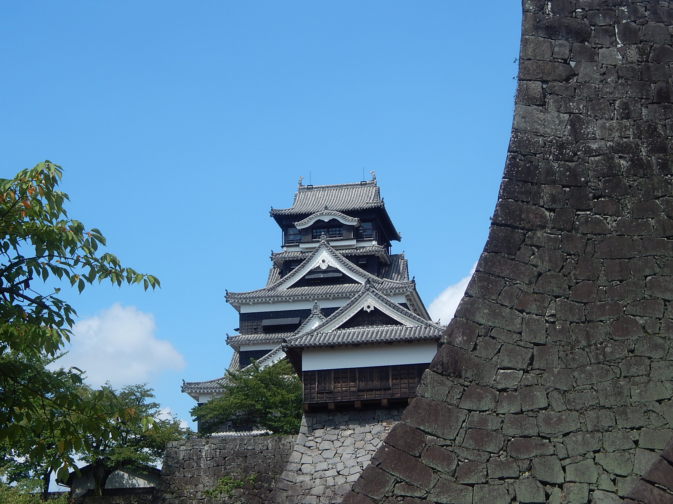 The Castle