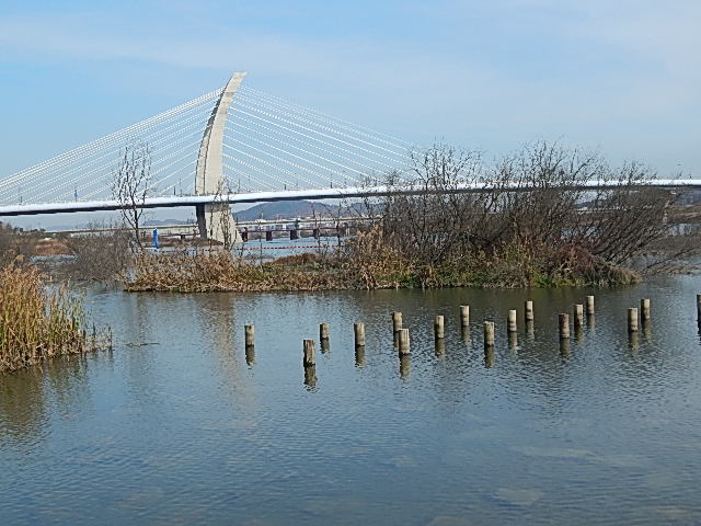 The bridge my bus crosses Tue and Fri