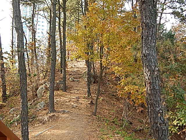 Pathway and resting spot