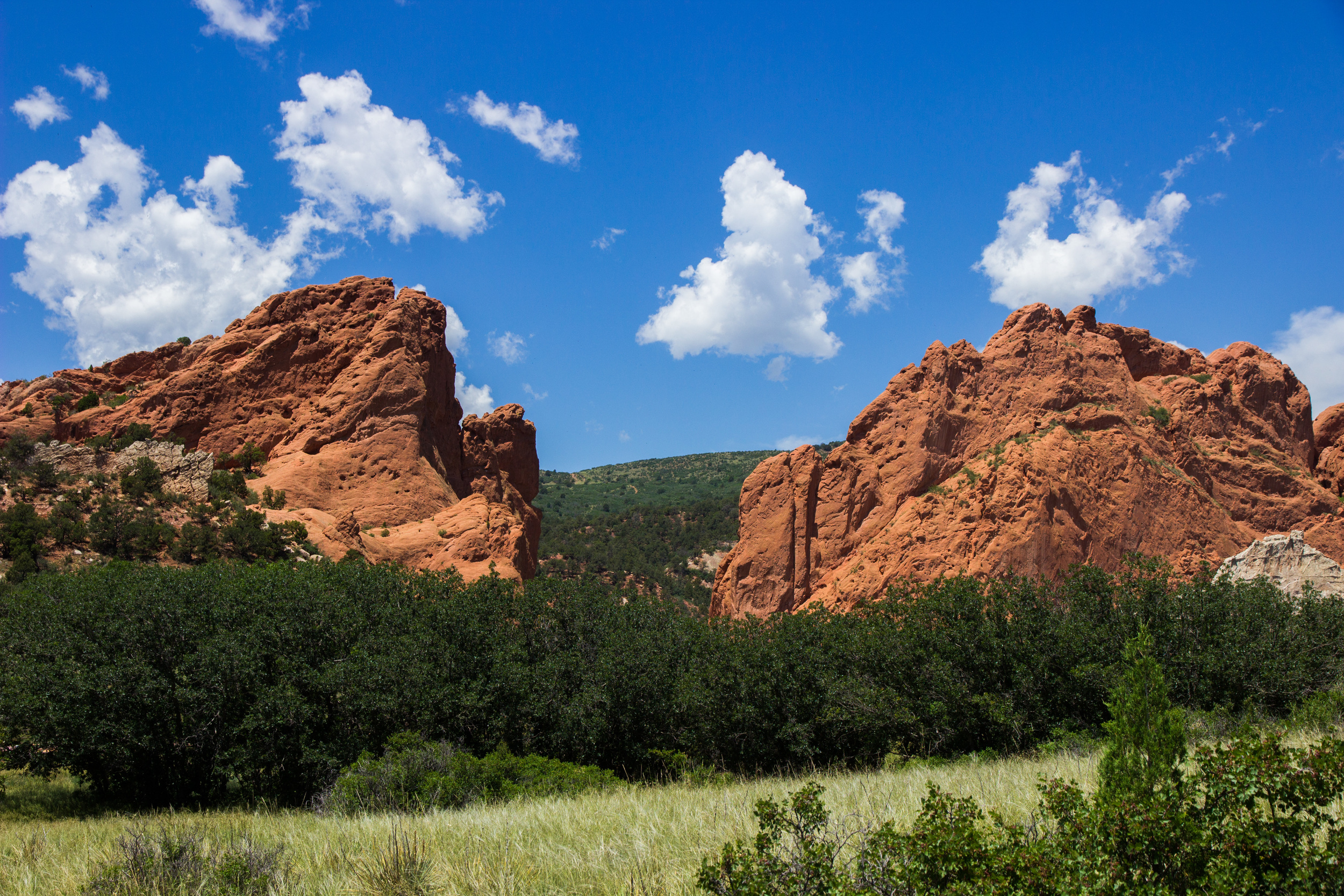 Colorado-6234.jpg