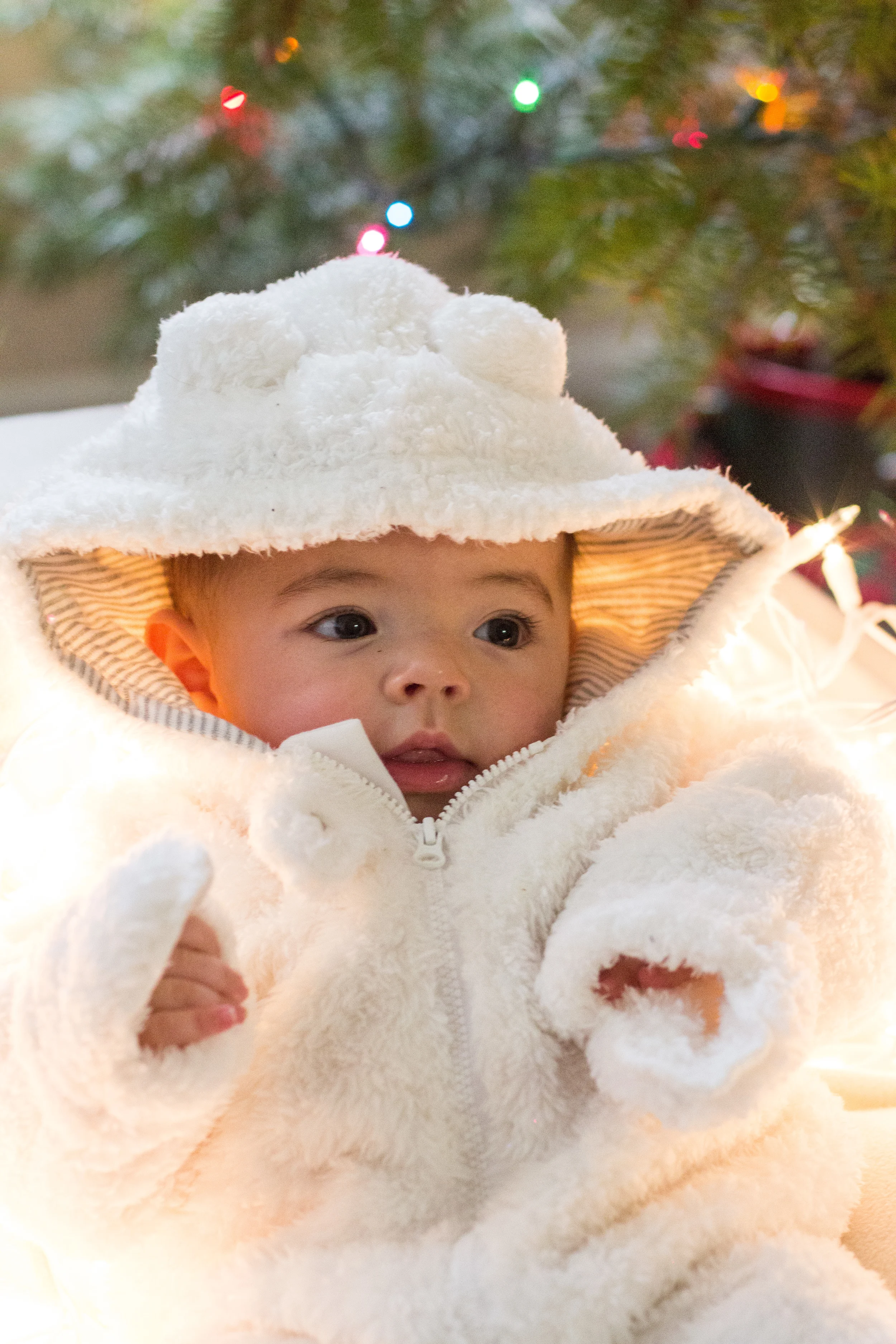 Christmas-9497.jpg