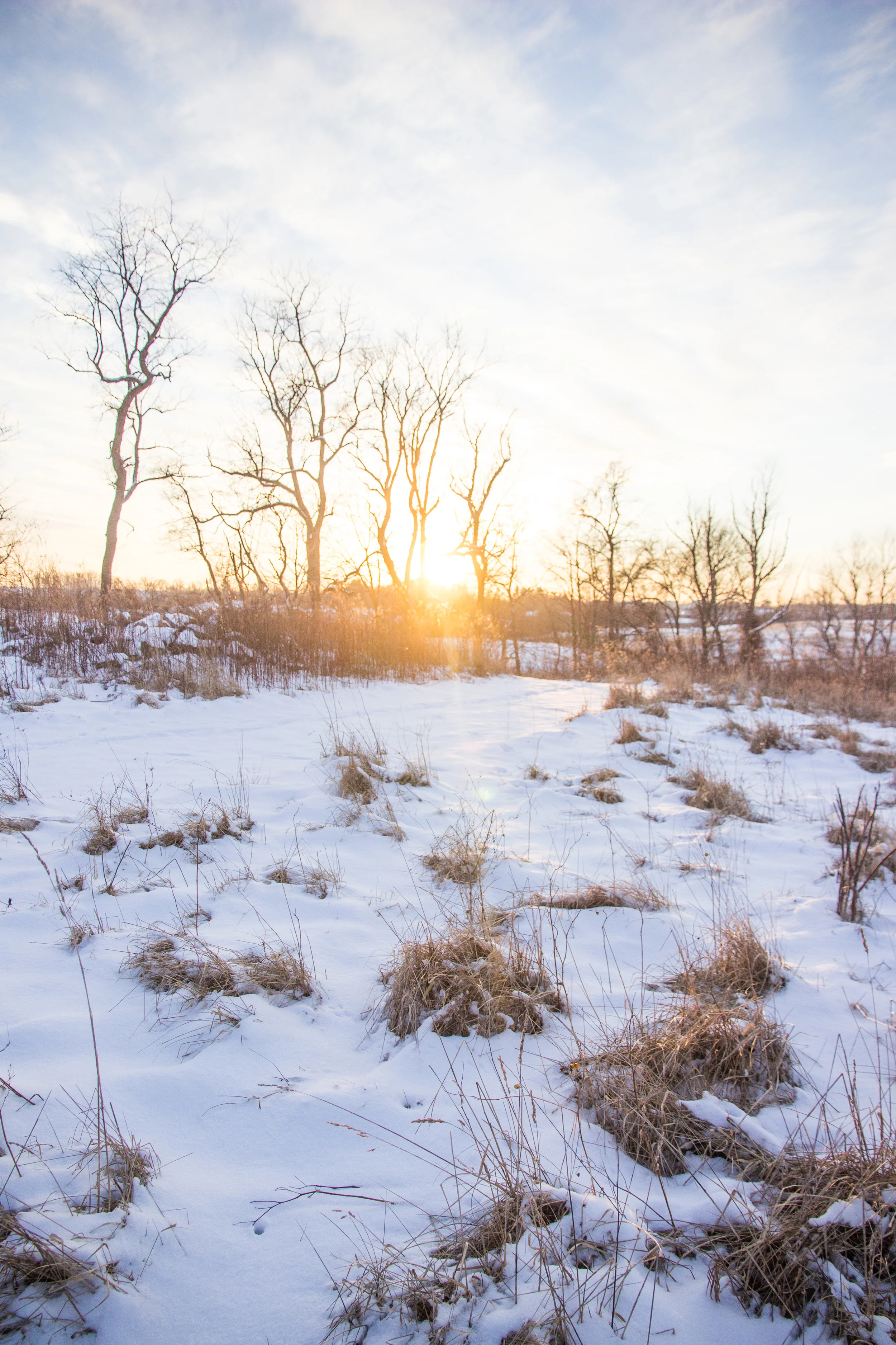 SunsetConservancy-21.jpg