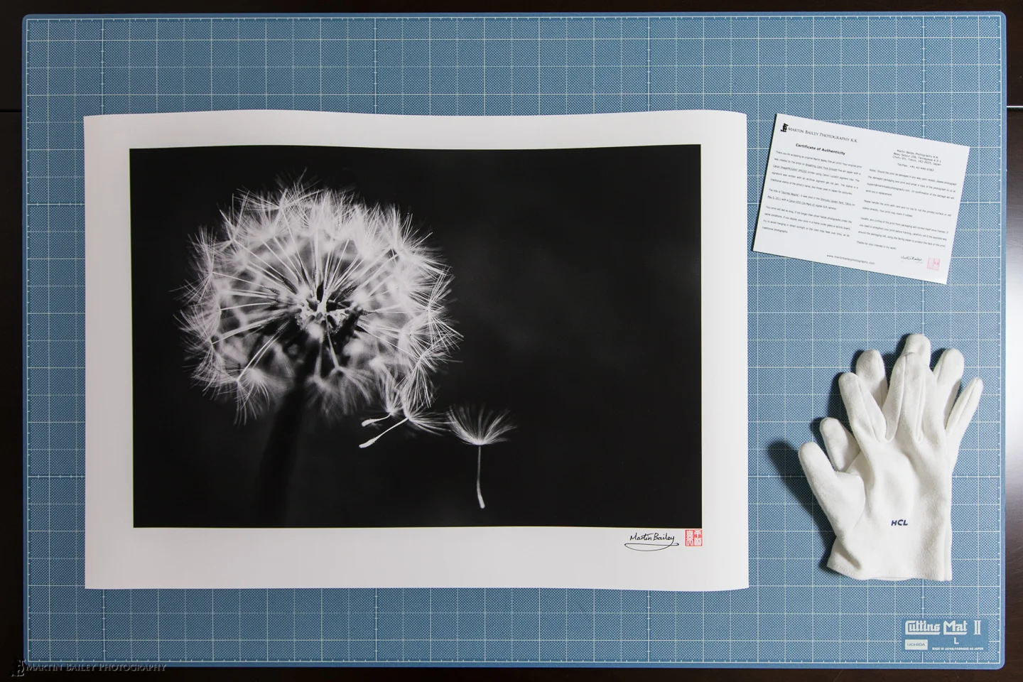 The Journey Begins - My new print from Martin Bailey