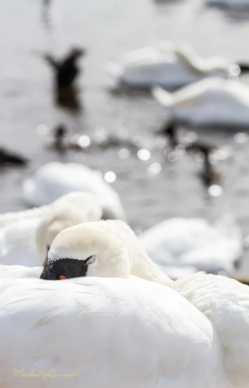 RammellPhotography.com_Dorset Trip 2013-15.jpg