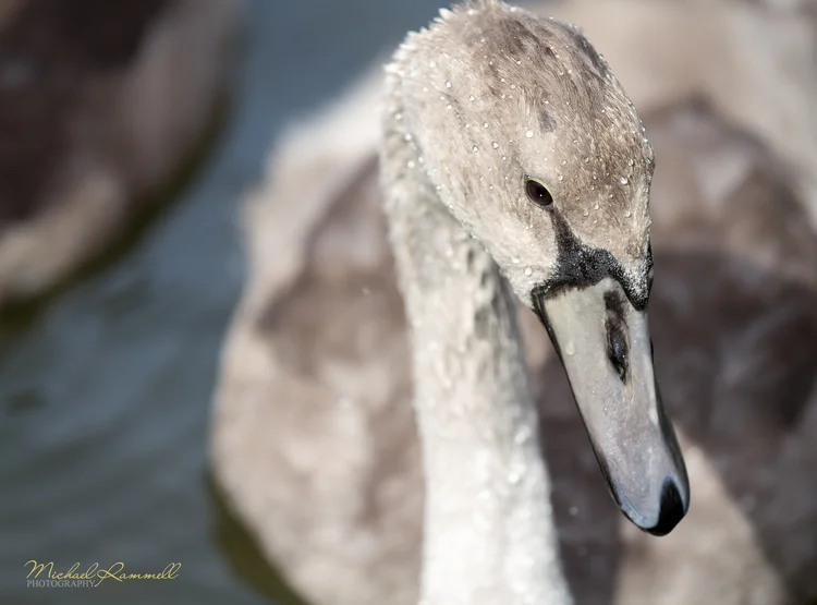 RammellPhotography.com_Doreset Trip 2013-9.jpg