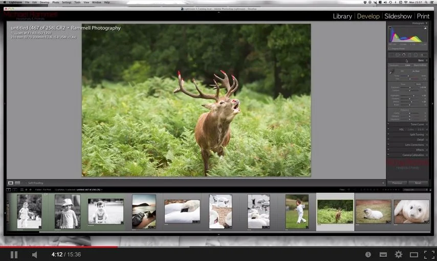 VIDEO: Preparing a Photograph for Print