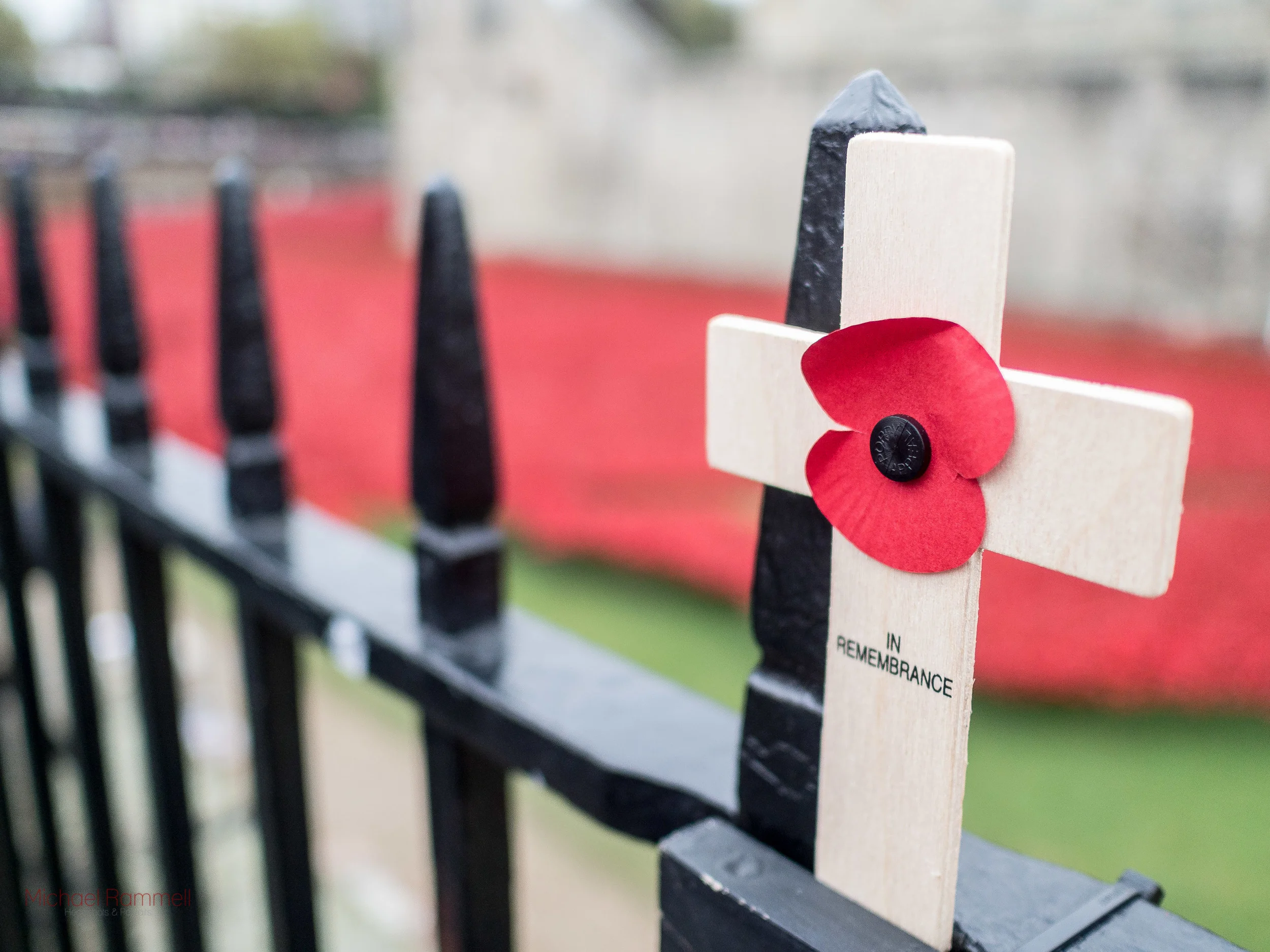 "In Rememberence" - The Tower of London - the ceramic poppy display as a tribute to those who laid down their lives for us.