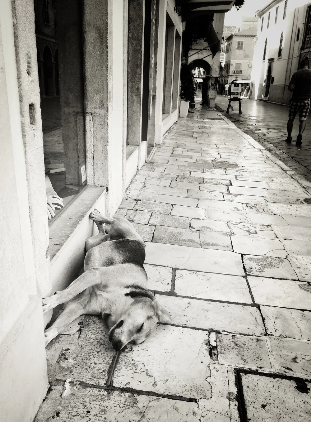 Corfu Town, Greece. iPhone 6PlusGiven the time to use two hands and compose the shot, the iPhone 6Plus is probably a bit better thanks to it's larger screen