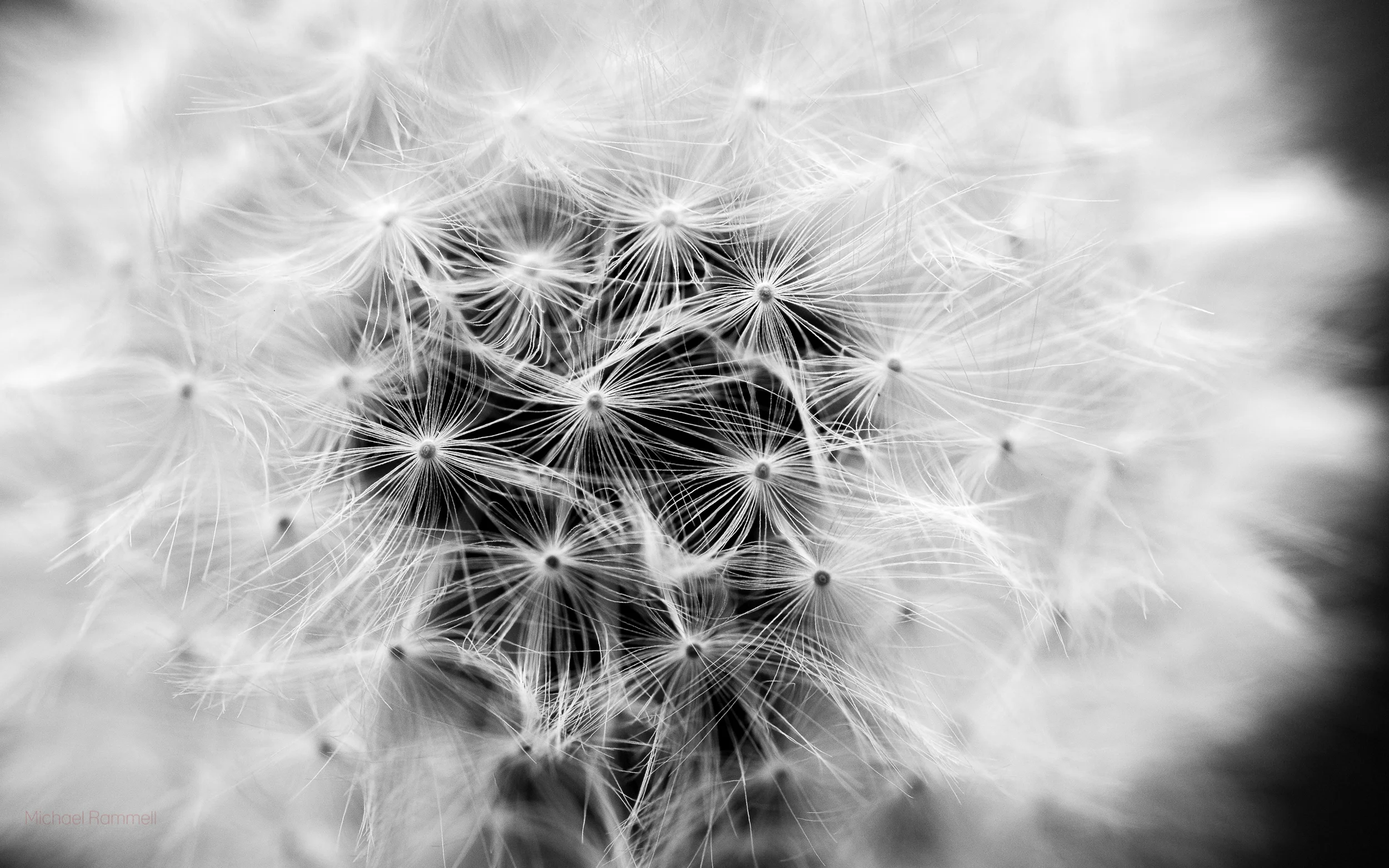 2.3Mb -&nbsp;Download Here