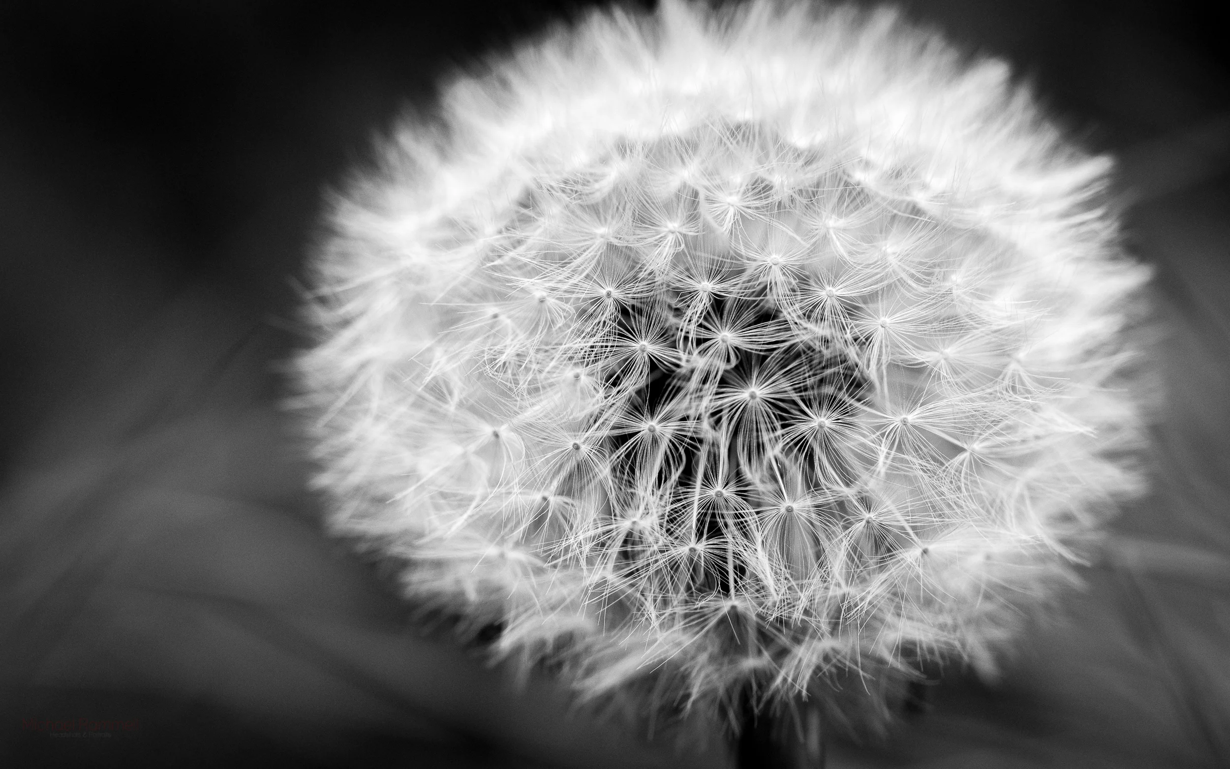 2.3Mb - Download Here