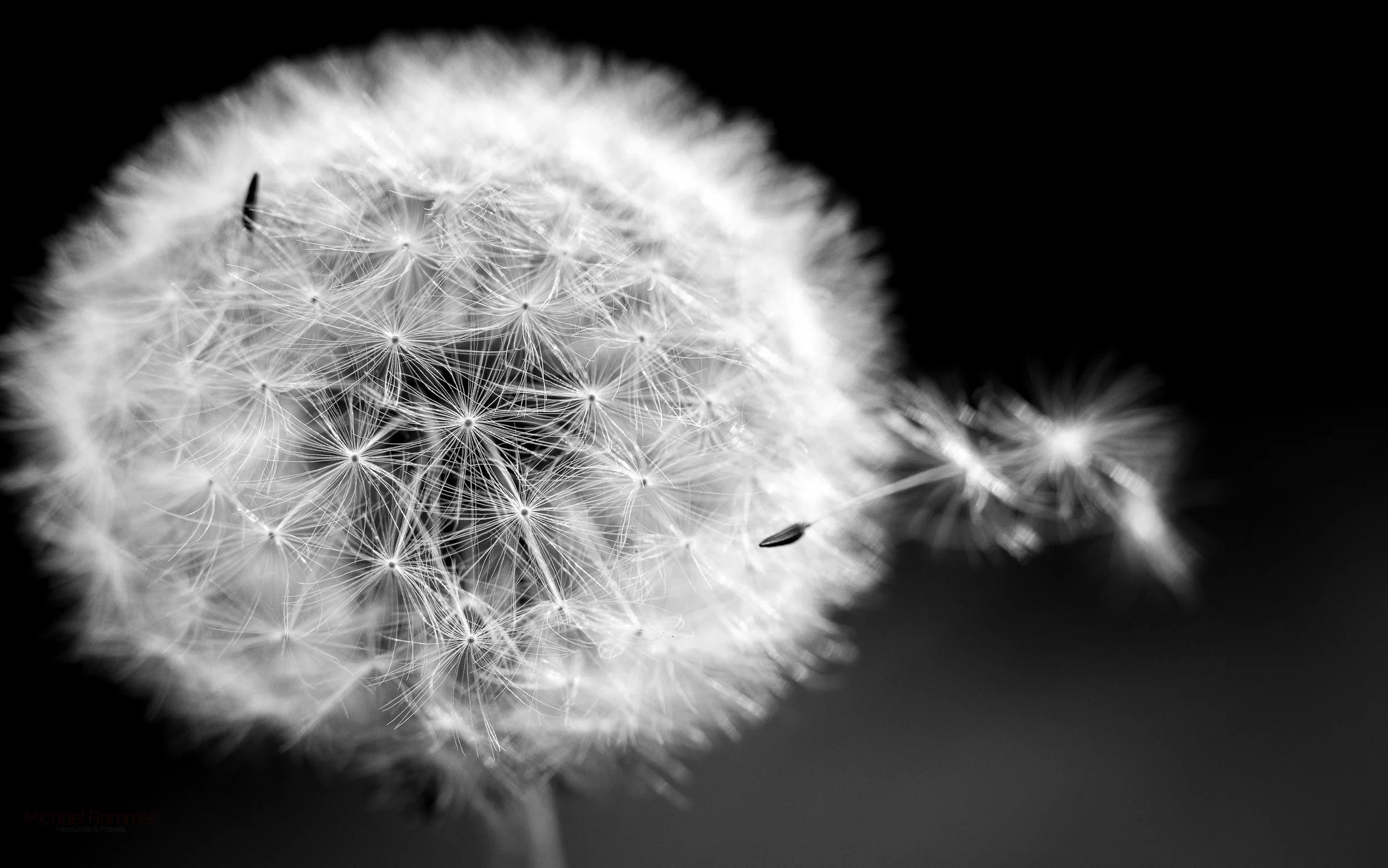 1.6Mb - Download Here