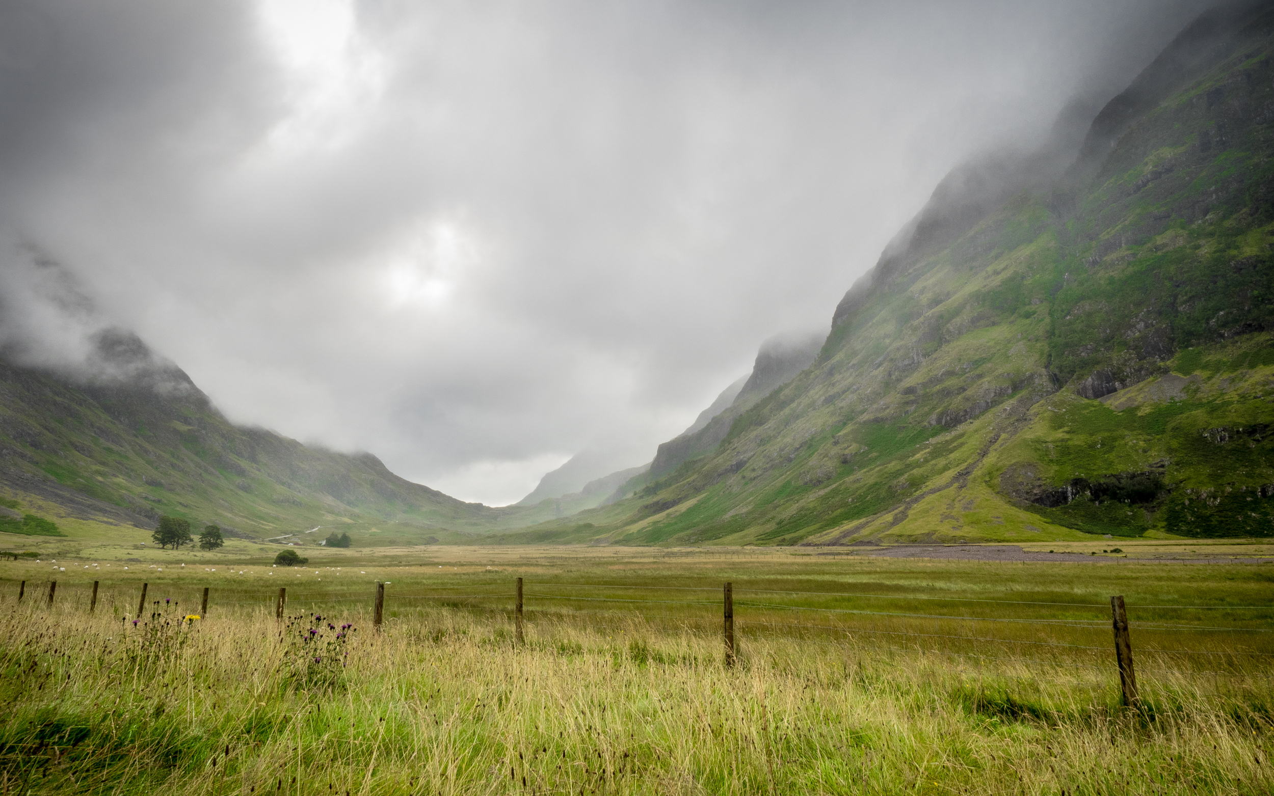 Scottish Highland Wallpapers