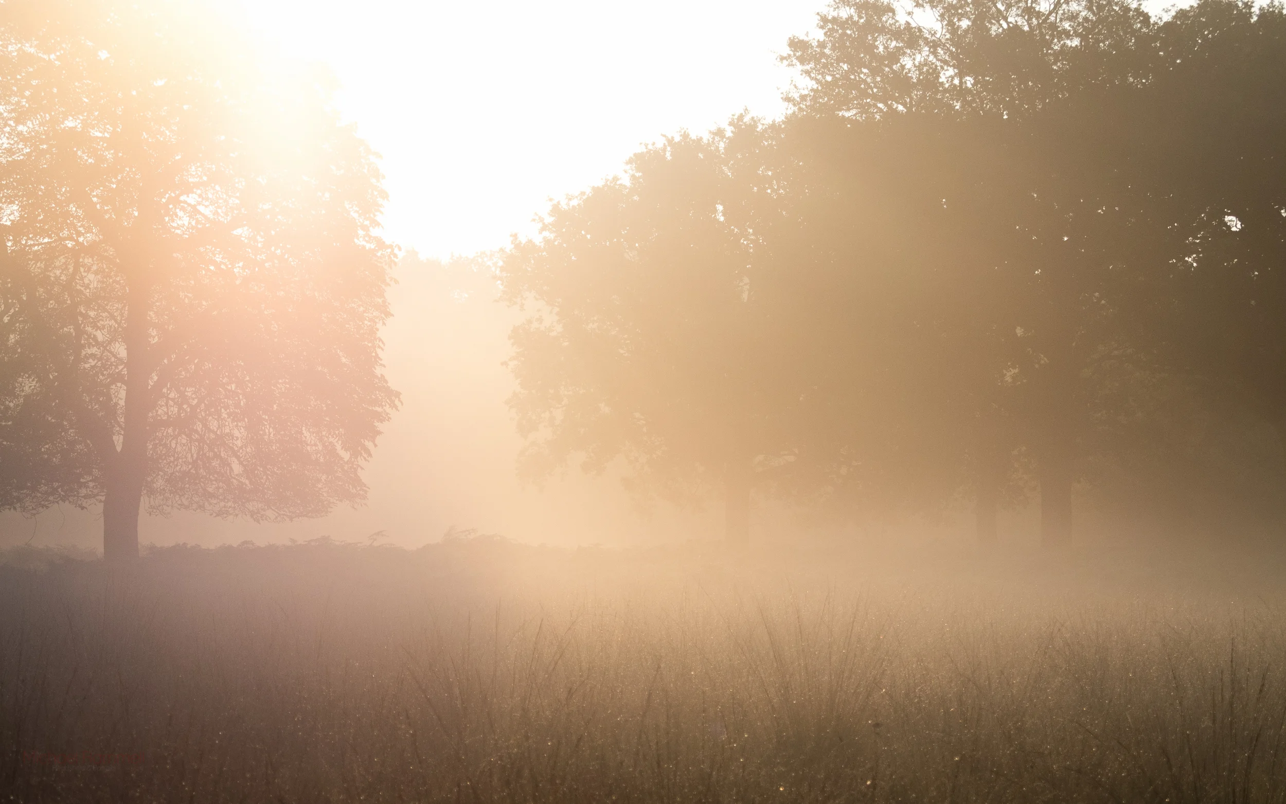 2.2Mb -&nbsp;Download Here