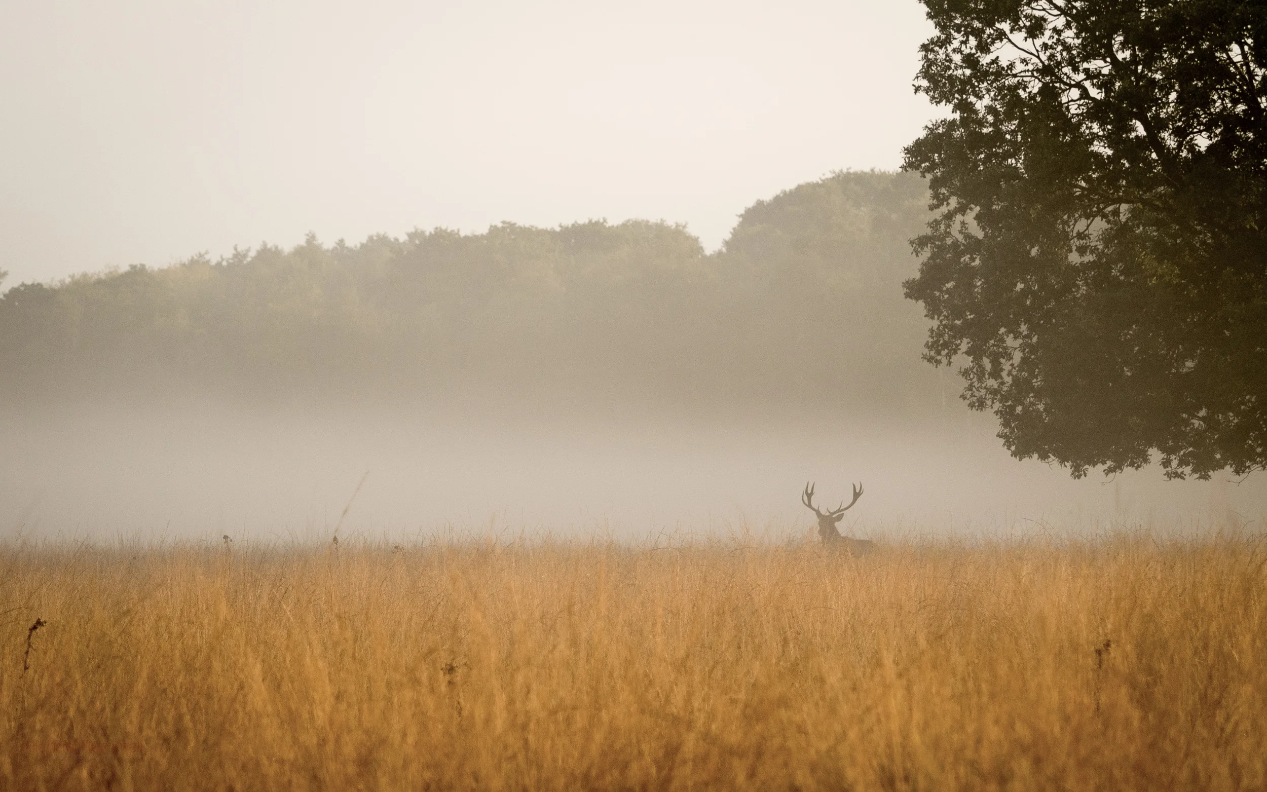 2.8Mb -&nbsp;Download Here