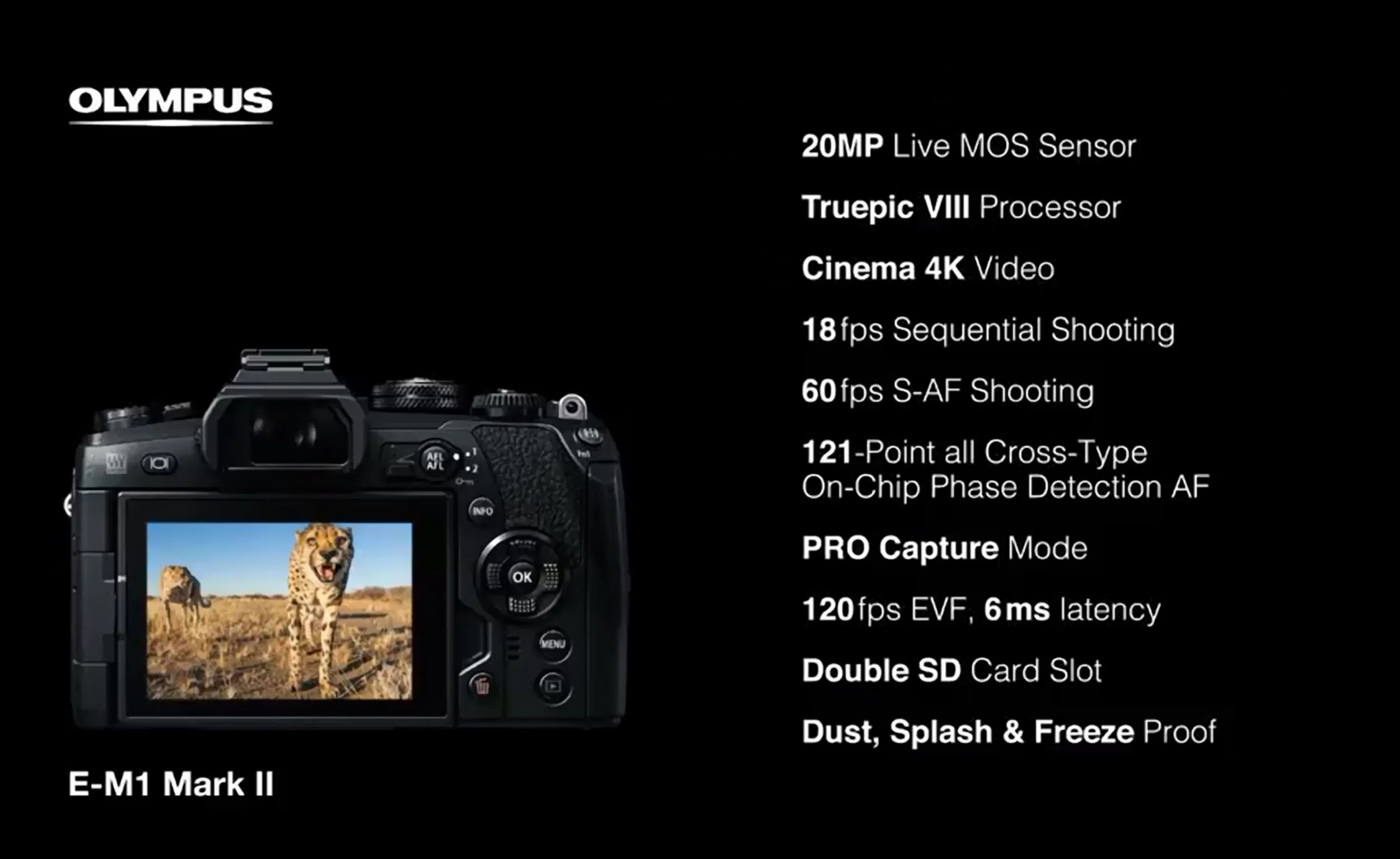 The new E-M1ii spec, including a new 20Mp sensor from Sony, capable of 4K video, 18 frames per second and 121 focus points, all of which are on-chip phase detect and ALL of which are cross type! 